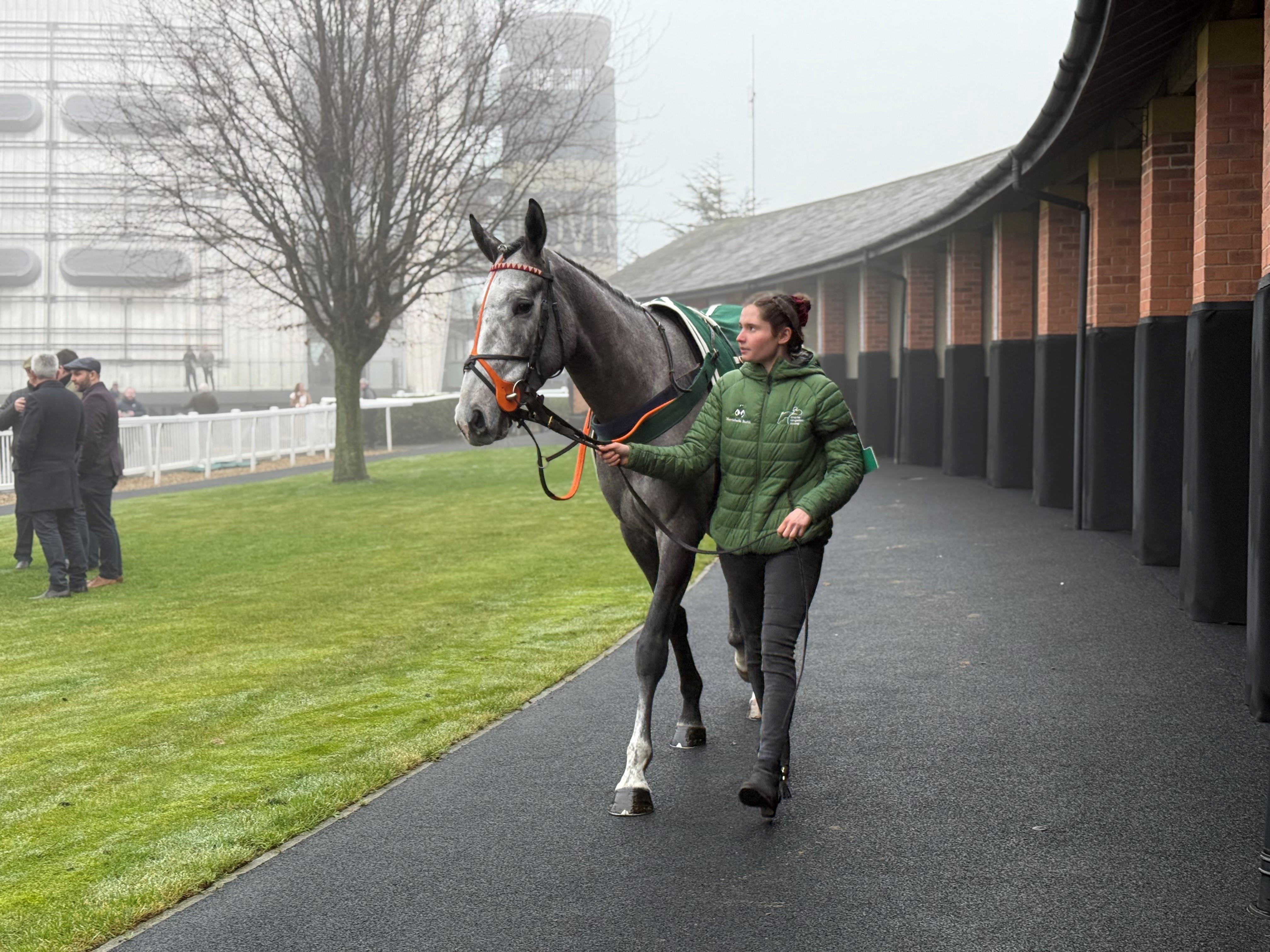 Swindon Village in the parade ring for the bumper. 
