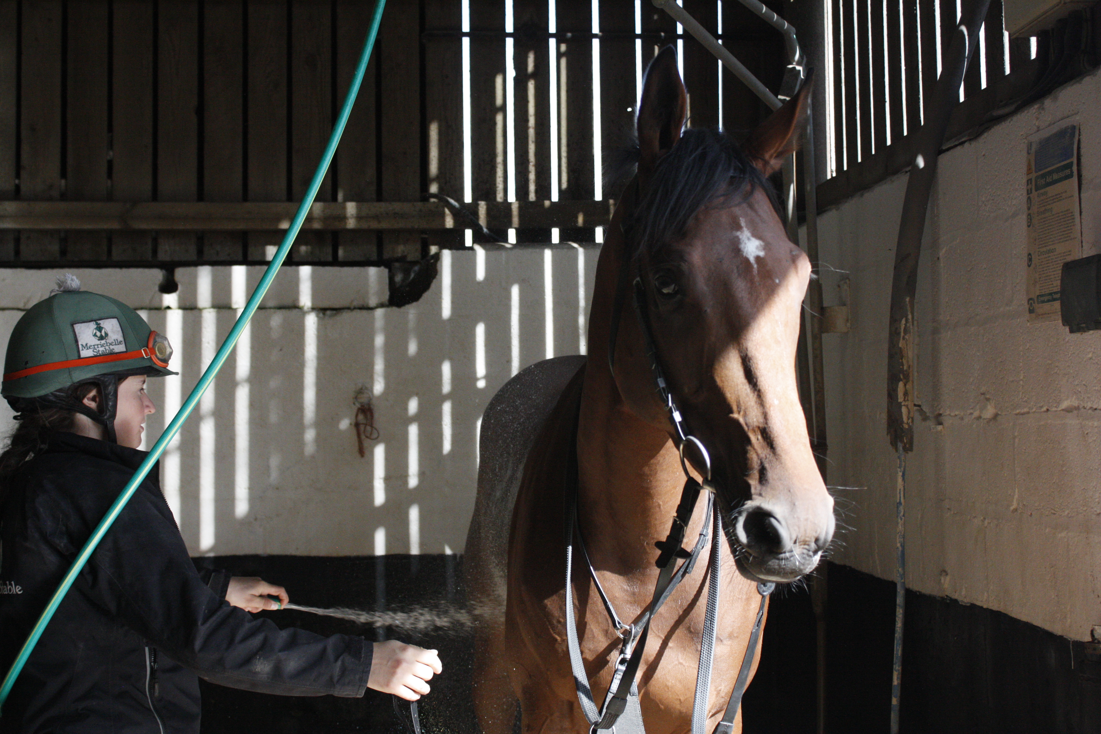 Pragnell having a wash down