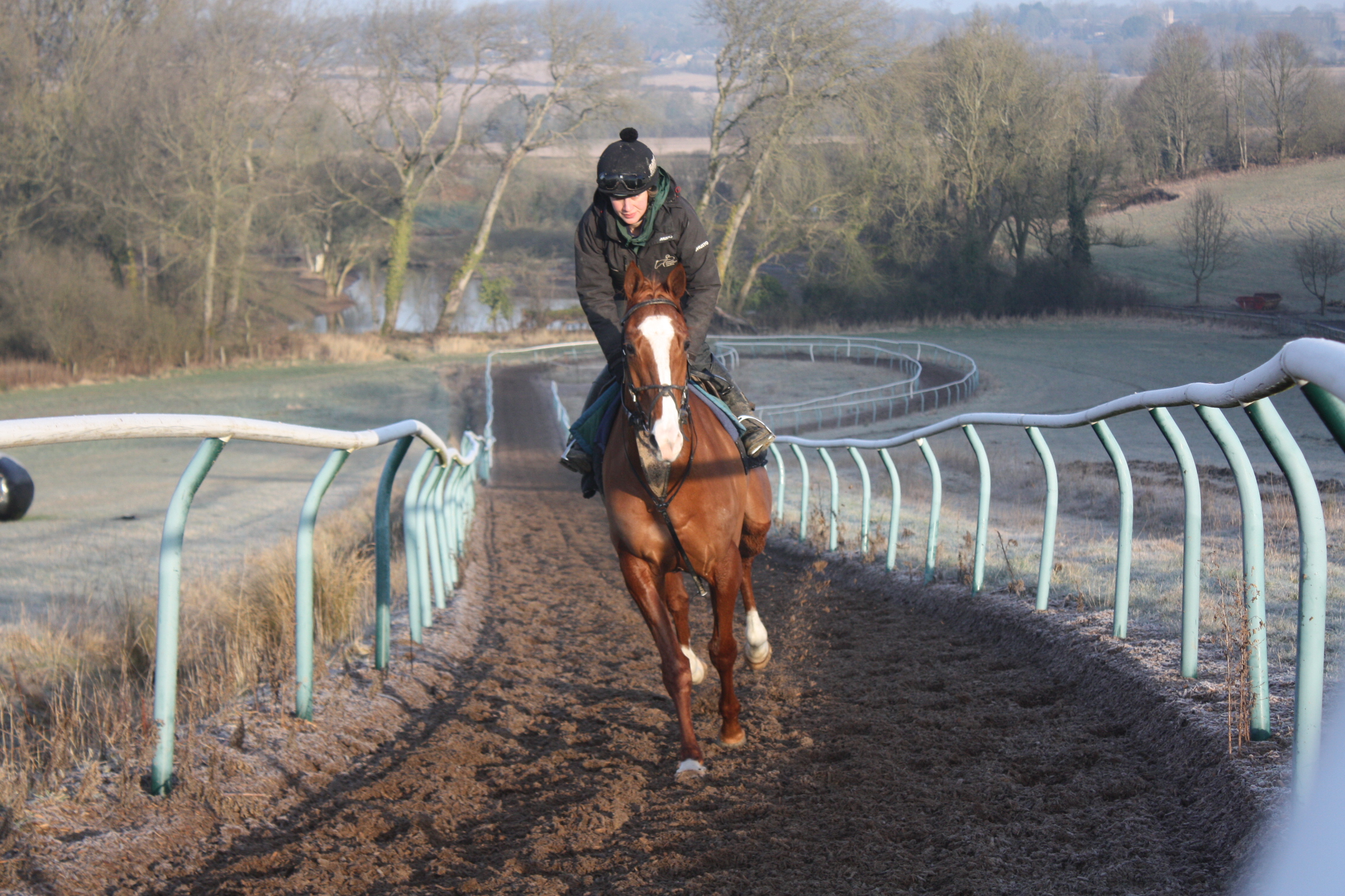Electric Jet posing for the camera this morning