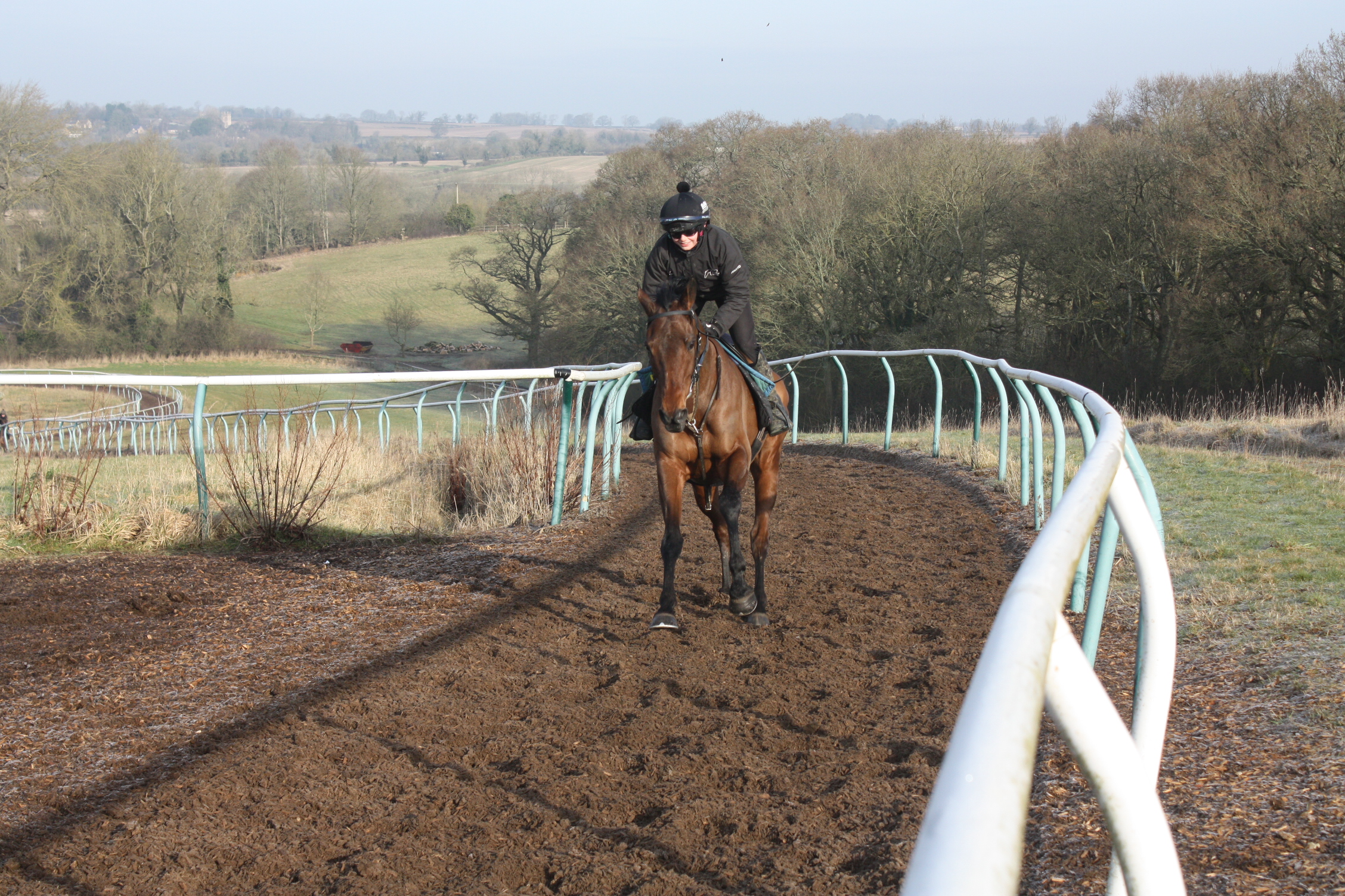 Zestful Hope getting ready for his run this weekend!