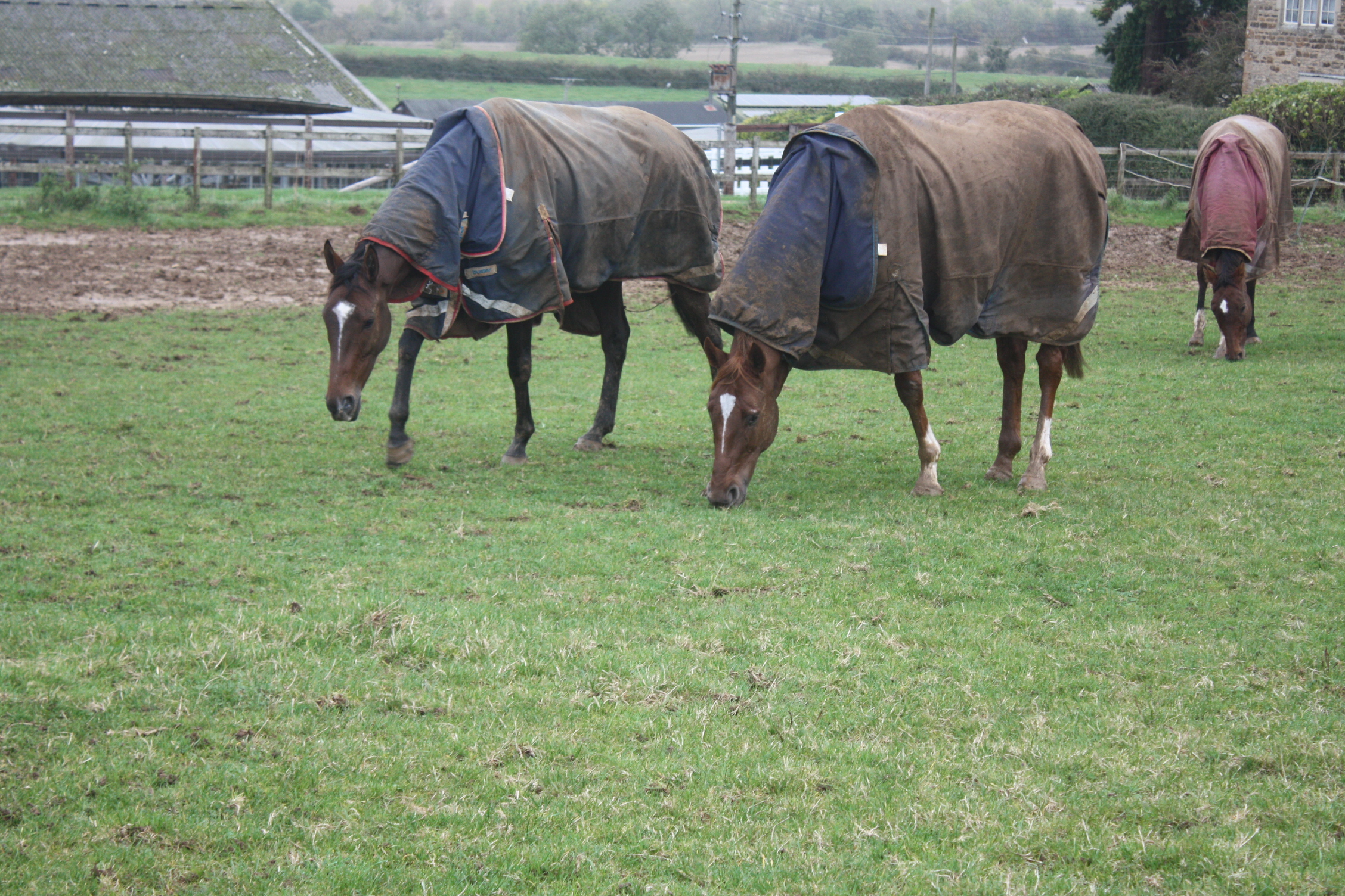 Alien out in the field with Almazhar