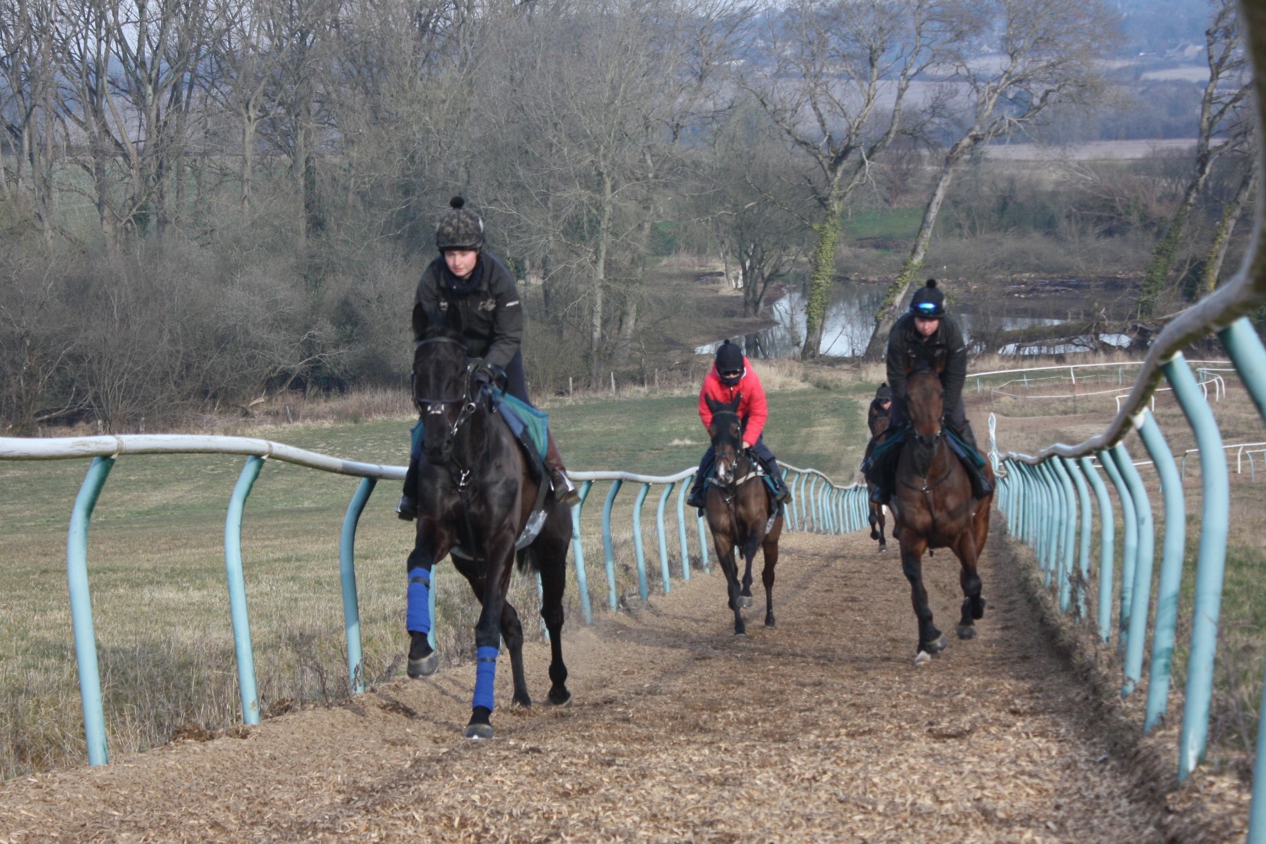 Bowmore leading the string