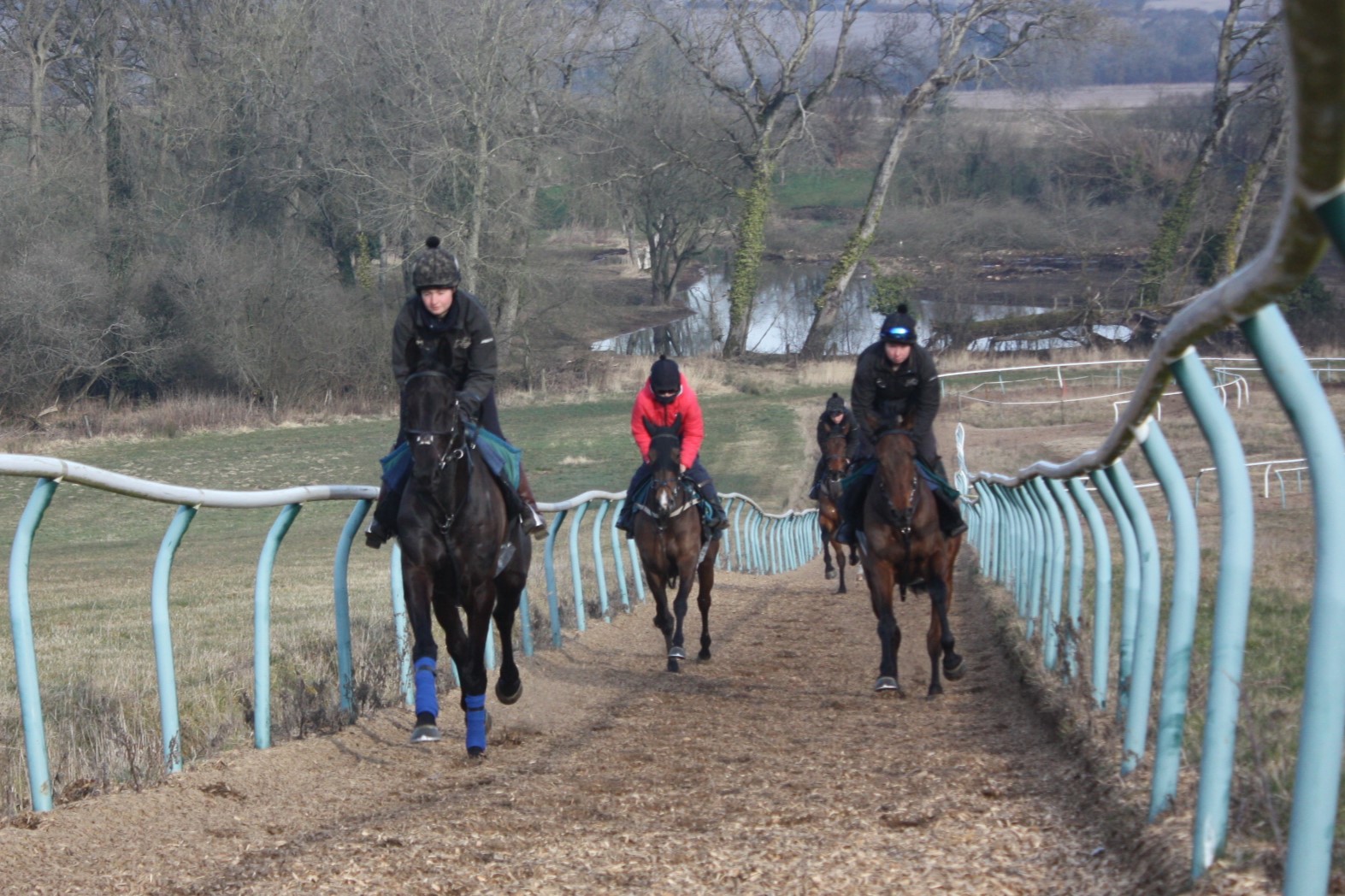 Bowmore leading Zestful hope and Graecia