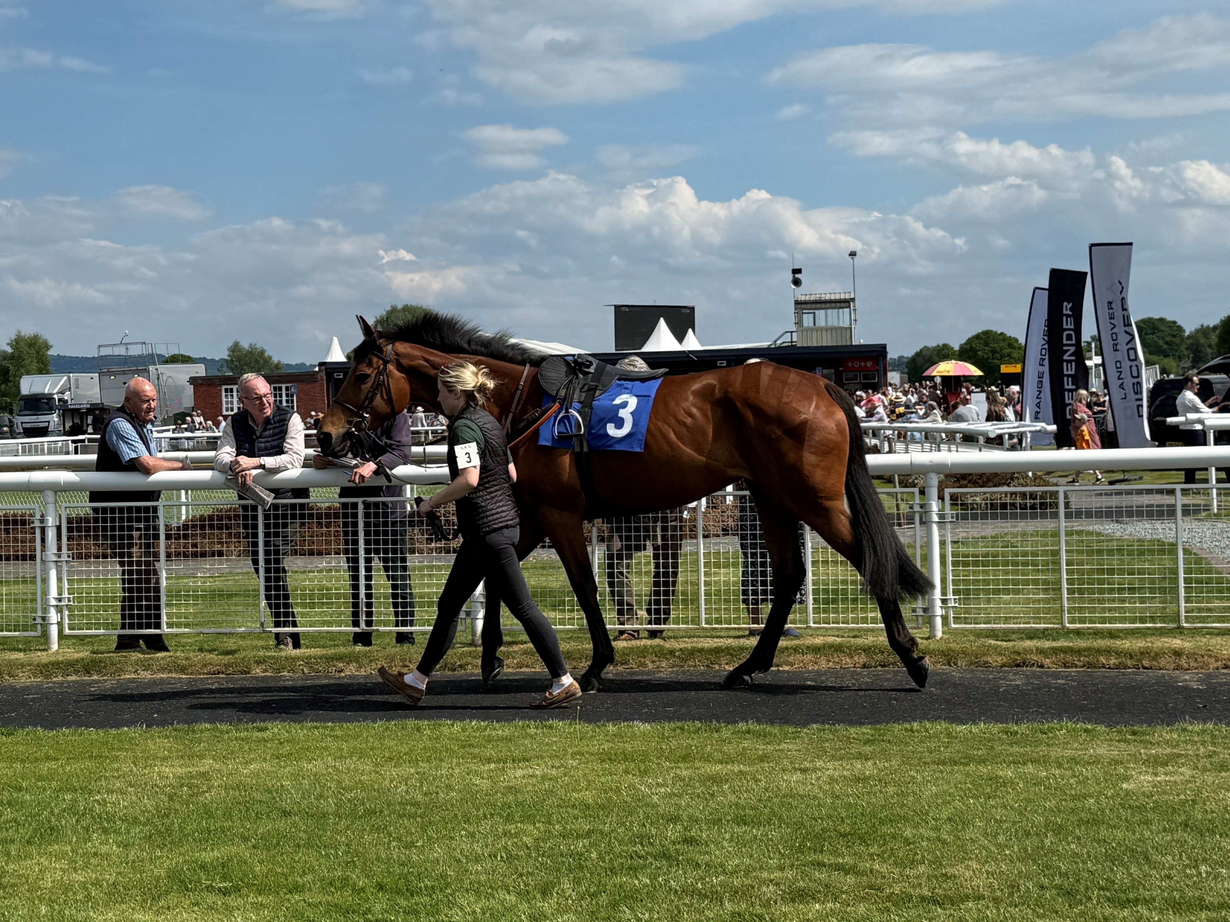 Imperial Jade in the parade ring at Ludlow