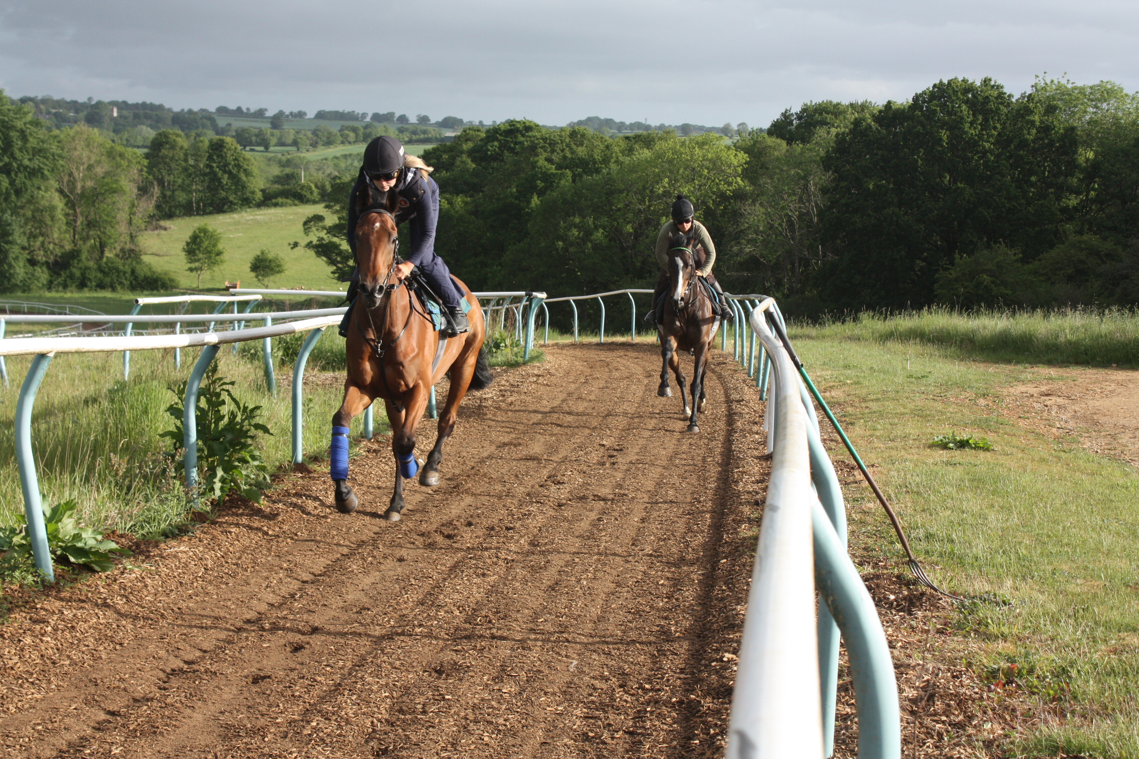 Midnight Jewel and Lilly ahead of Stroll on By and Macy