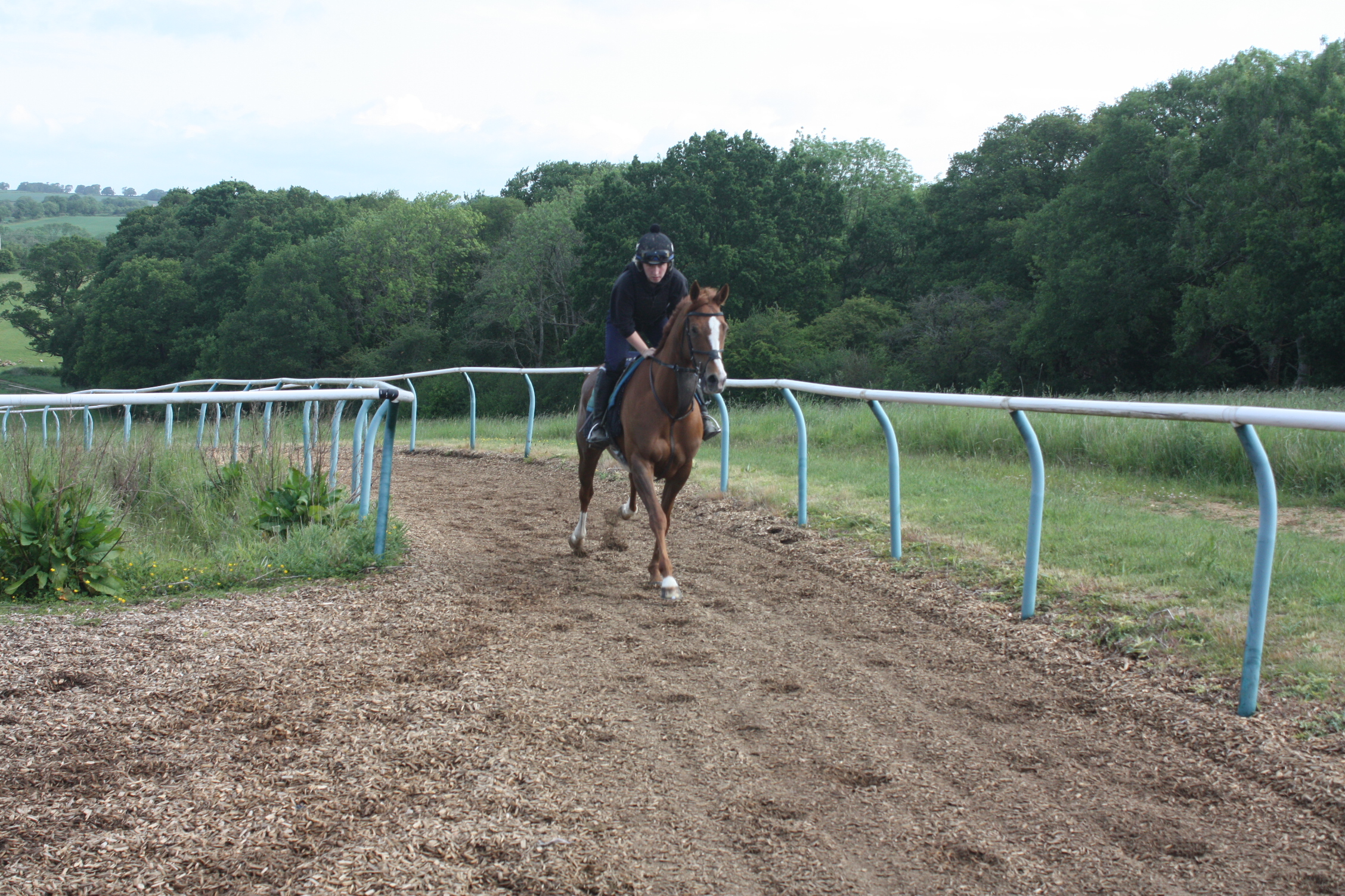 Miss Applejack getting ready ahead of an entry at Chelmsford and Chepstow