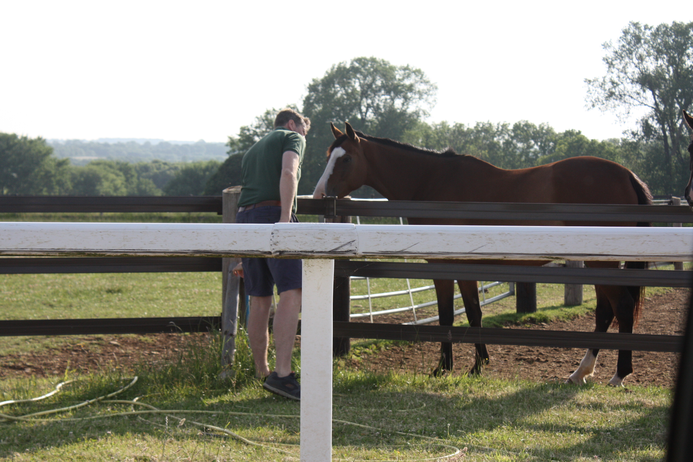 Trainer keeping a close eye on the holiday horses