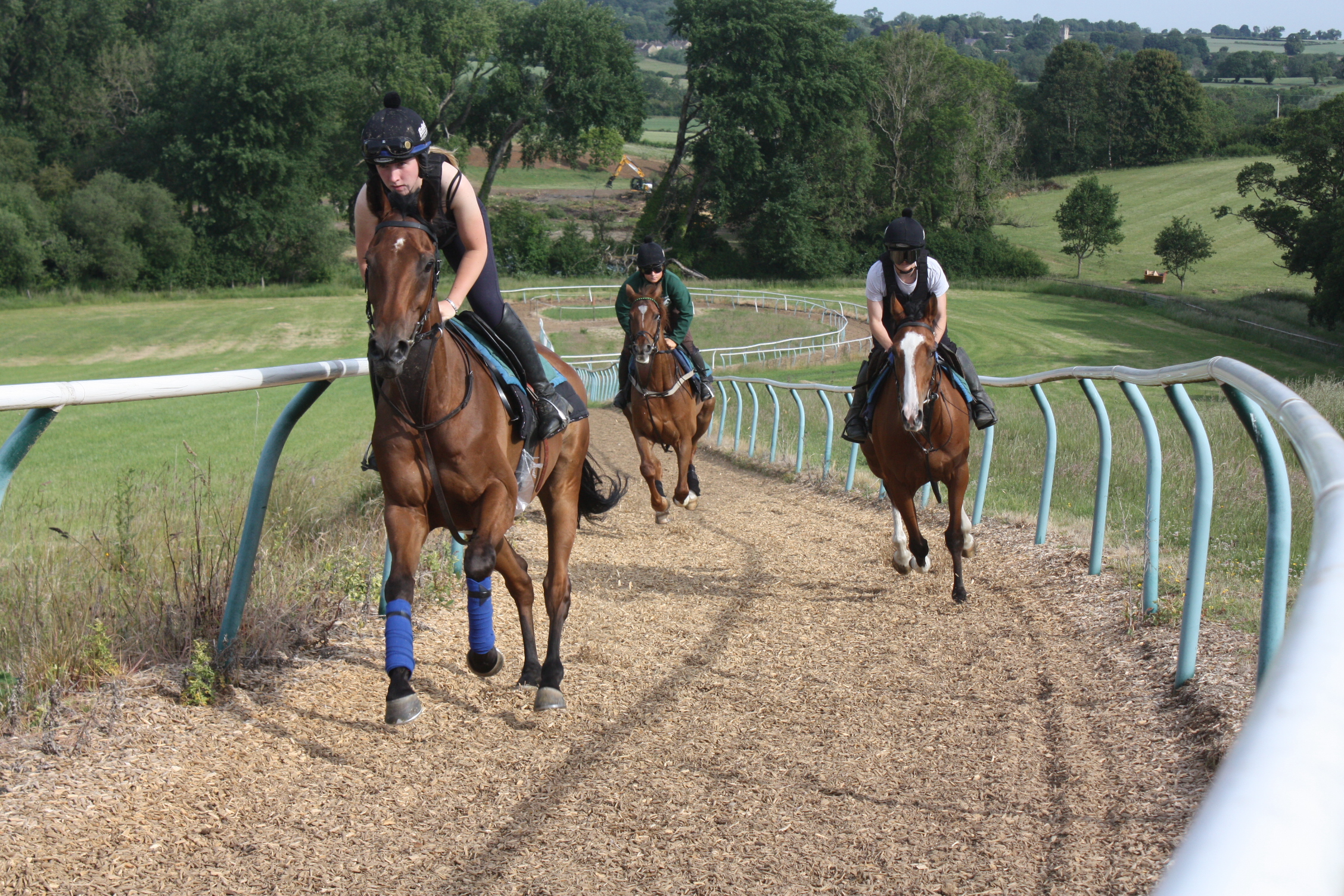 Midnight Jewel leading