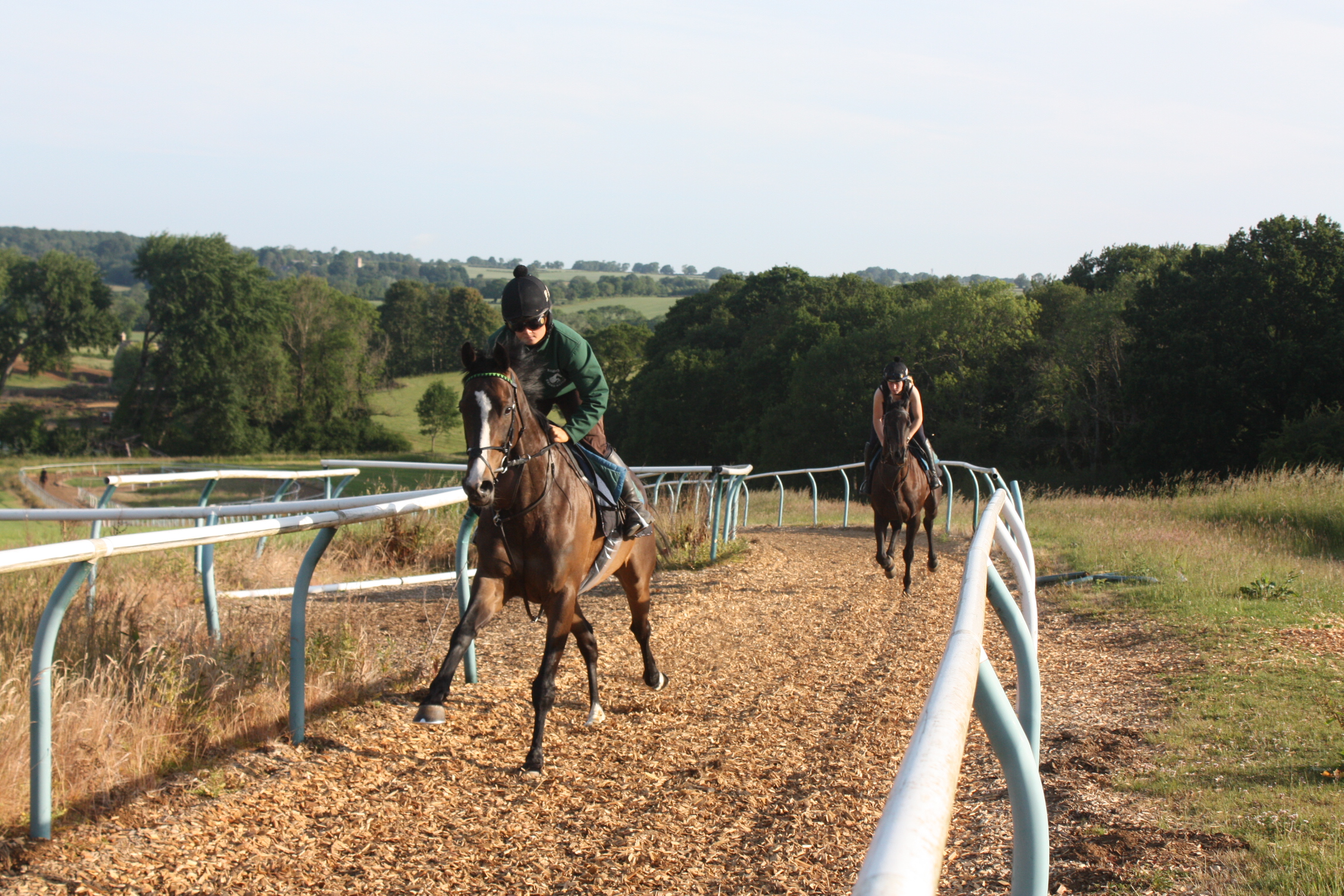 Stroll on By leading Ikigai Star