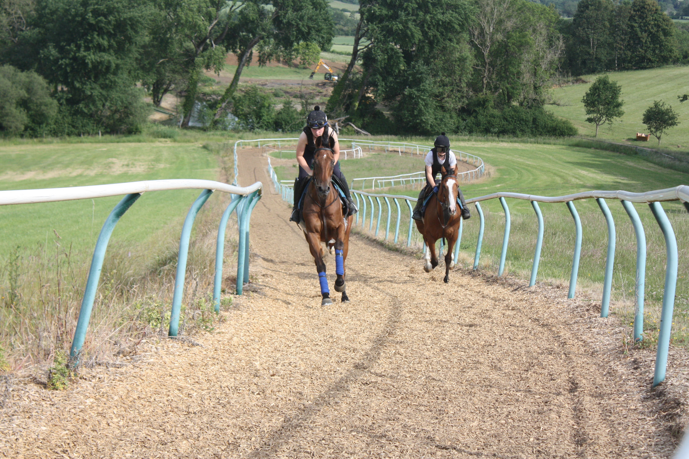 Last weeks winners, Midnight Jewel & Red Panda