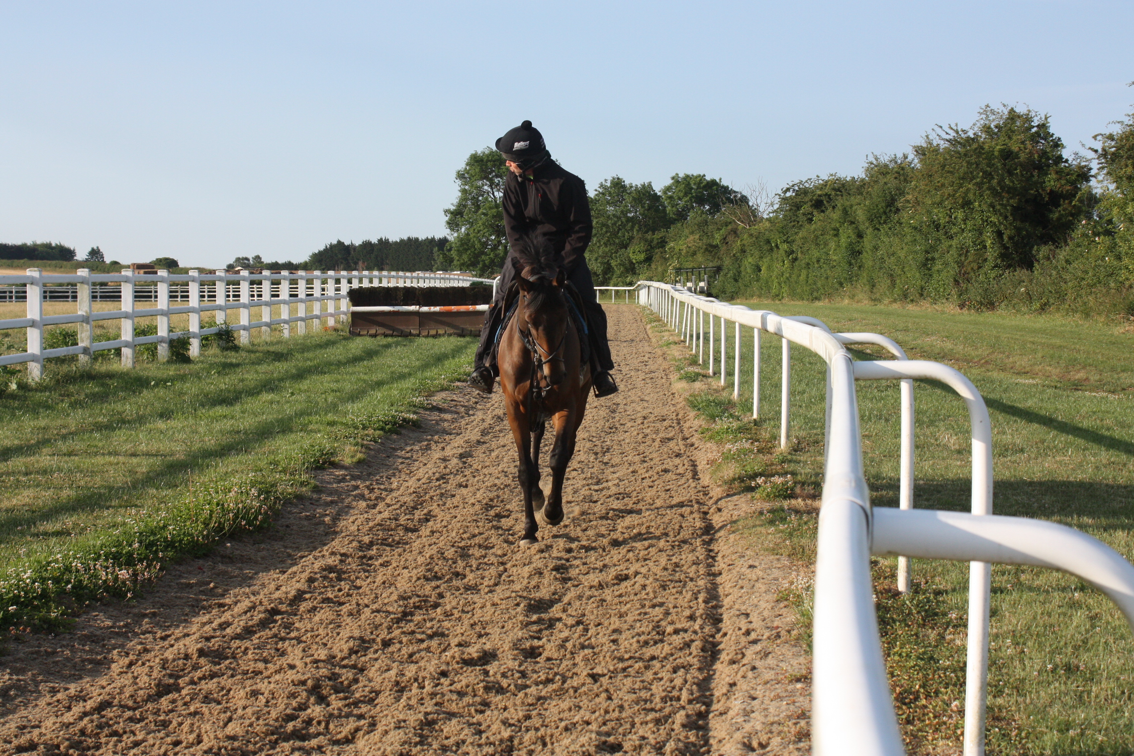 Delpotro, entered for Market Rasen on Saturday