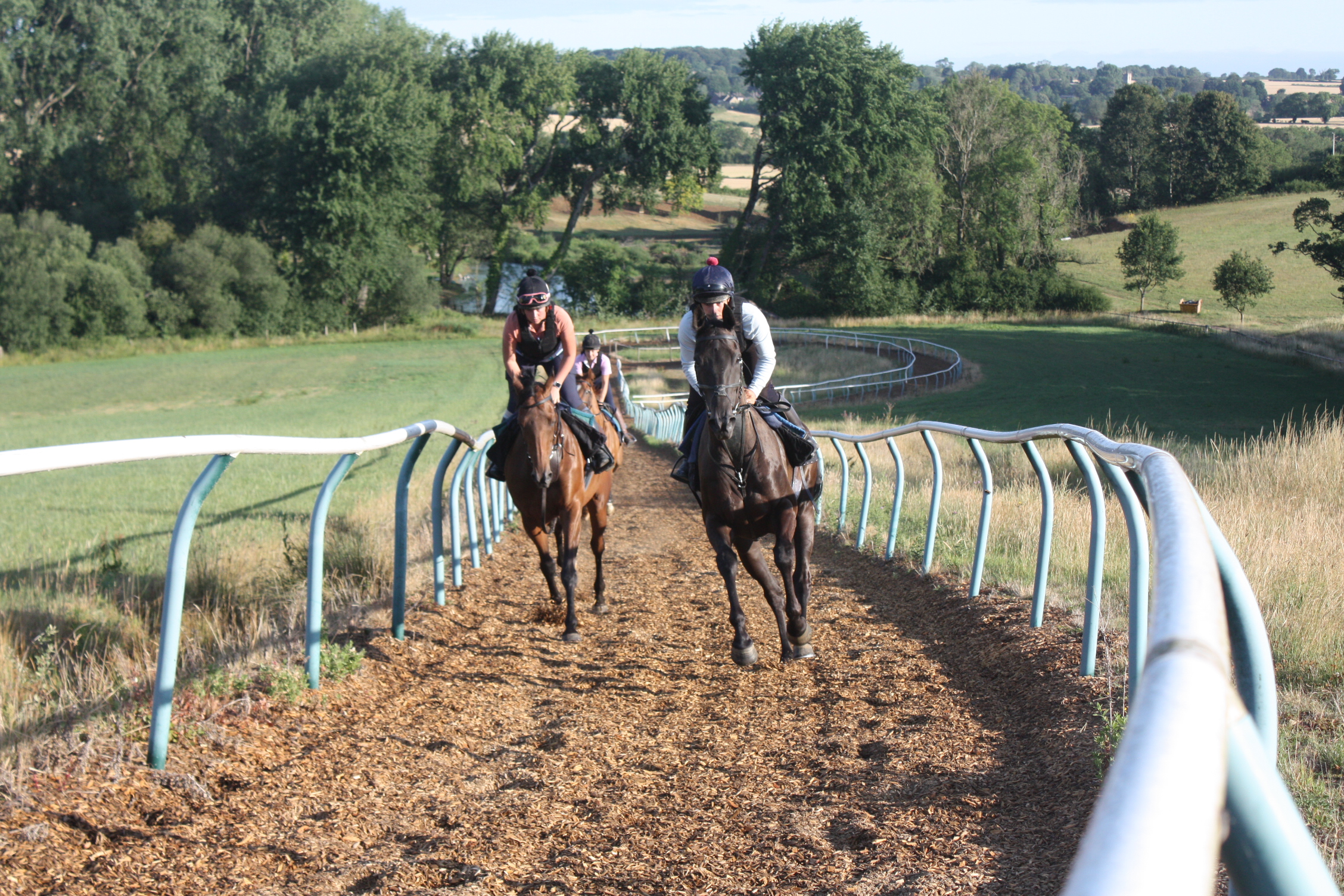 Washpool leading the string