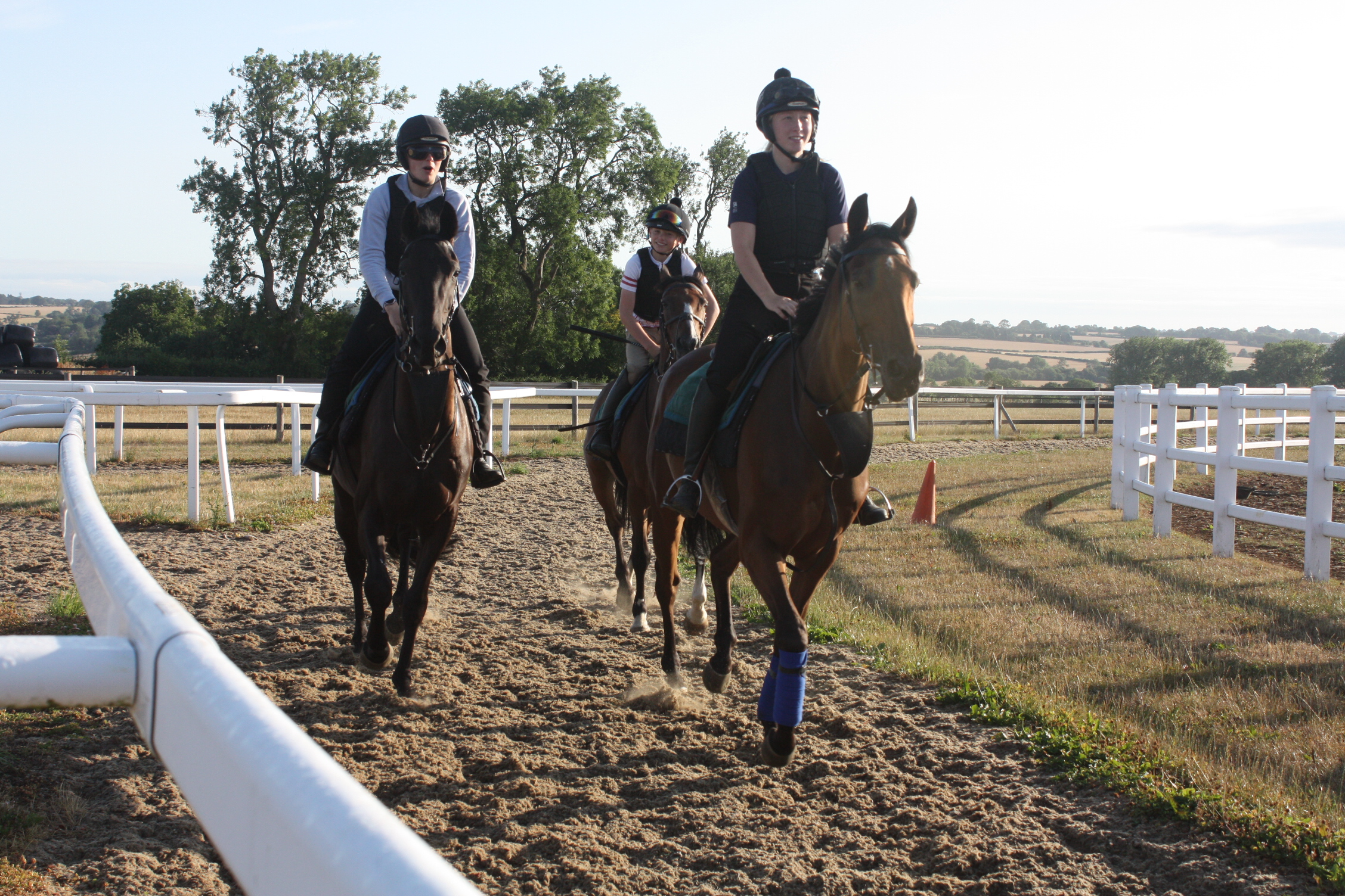 Midnight Jewel leading the way!