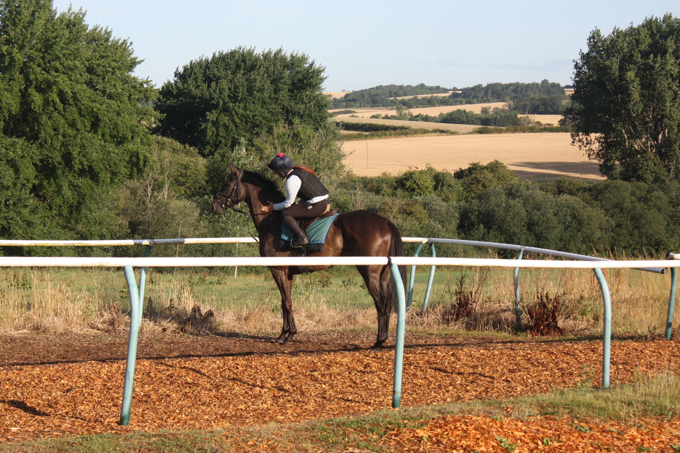 Washpool and Hannah
