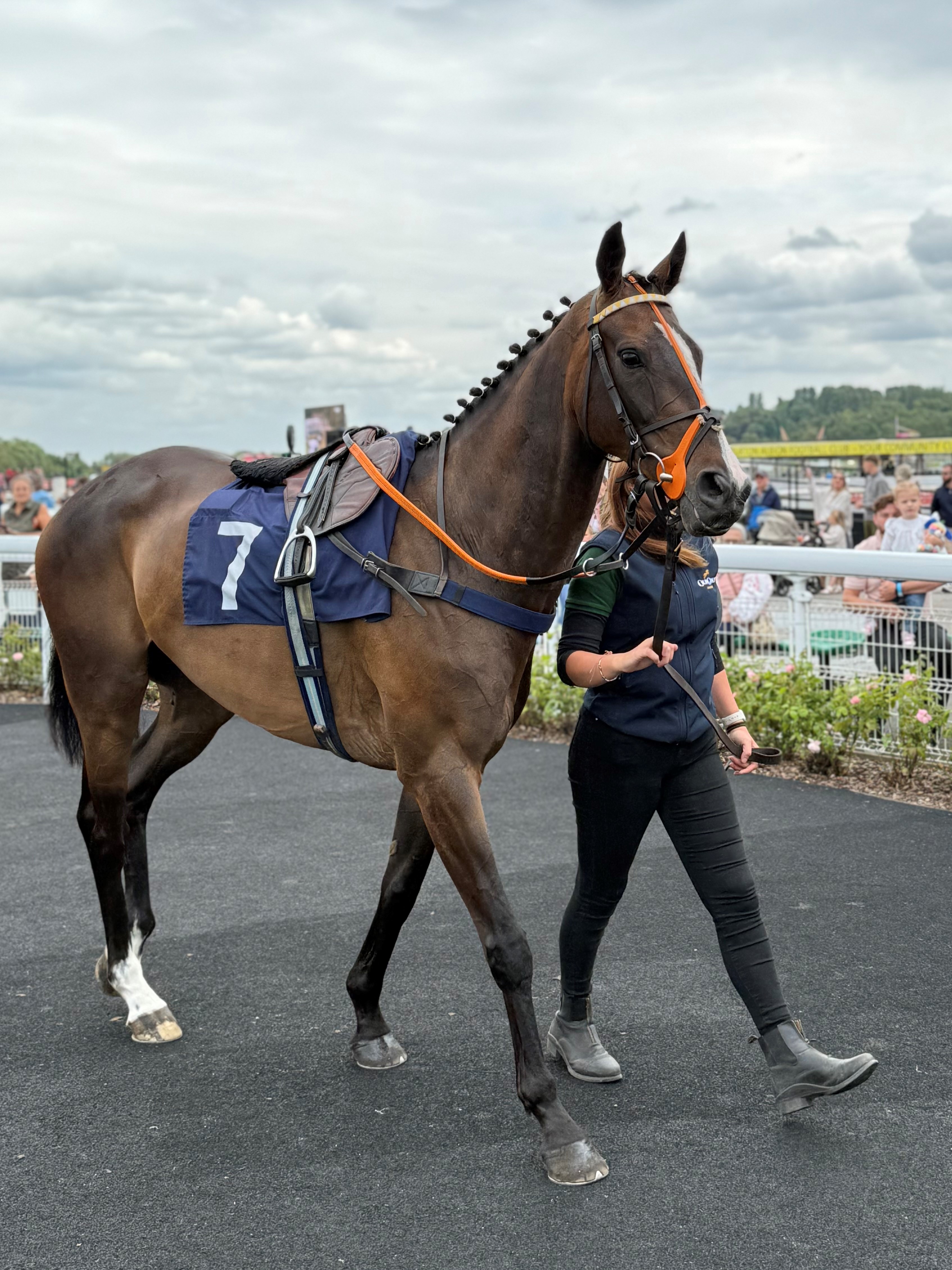Stroll on By at Uttoxeter on Sunday