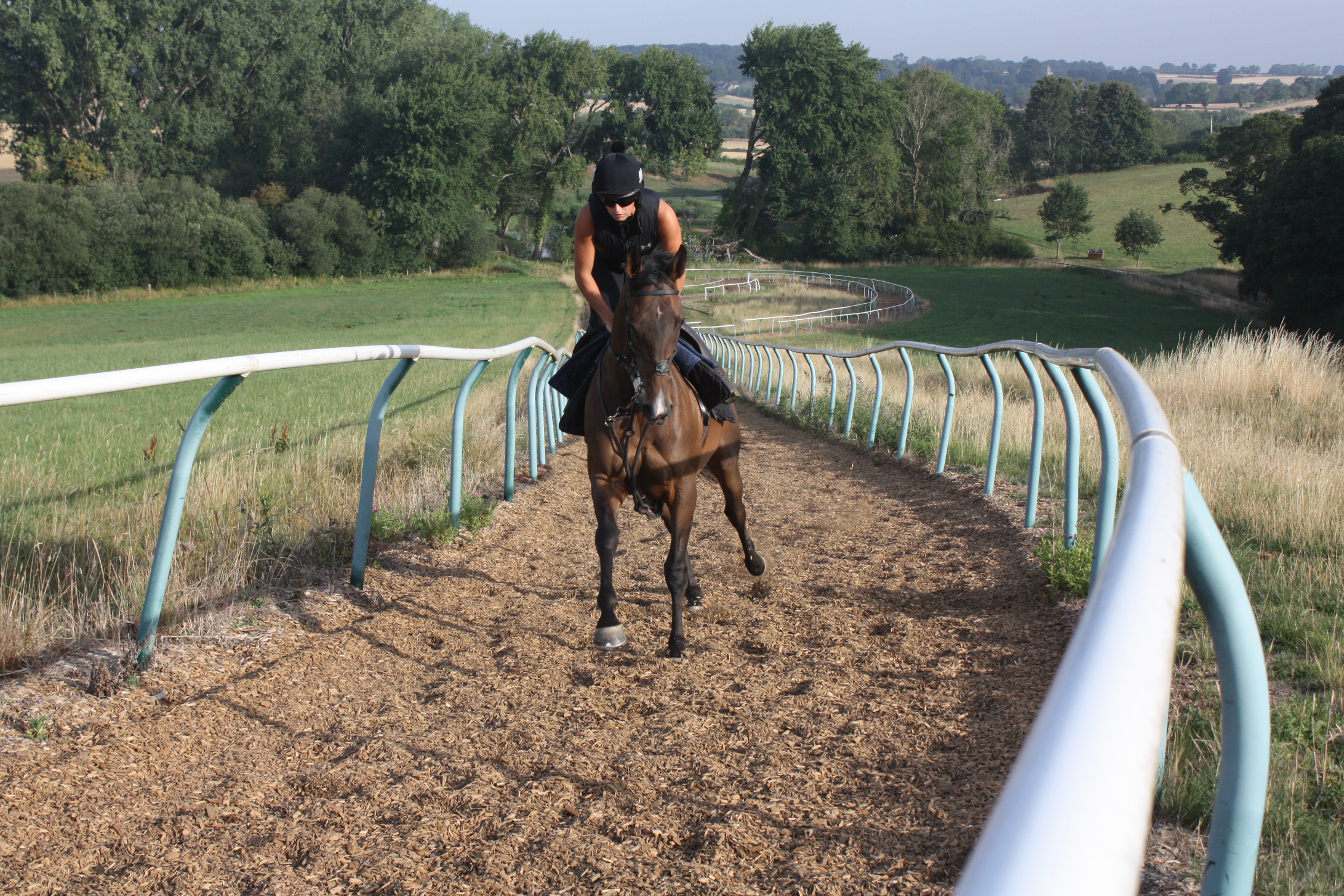 Graecia heading up the gallops
