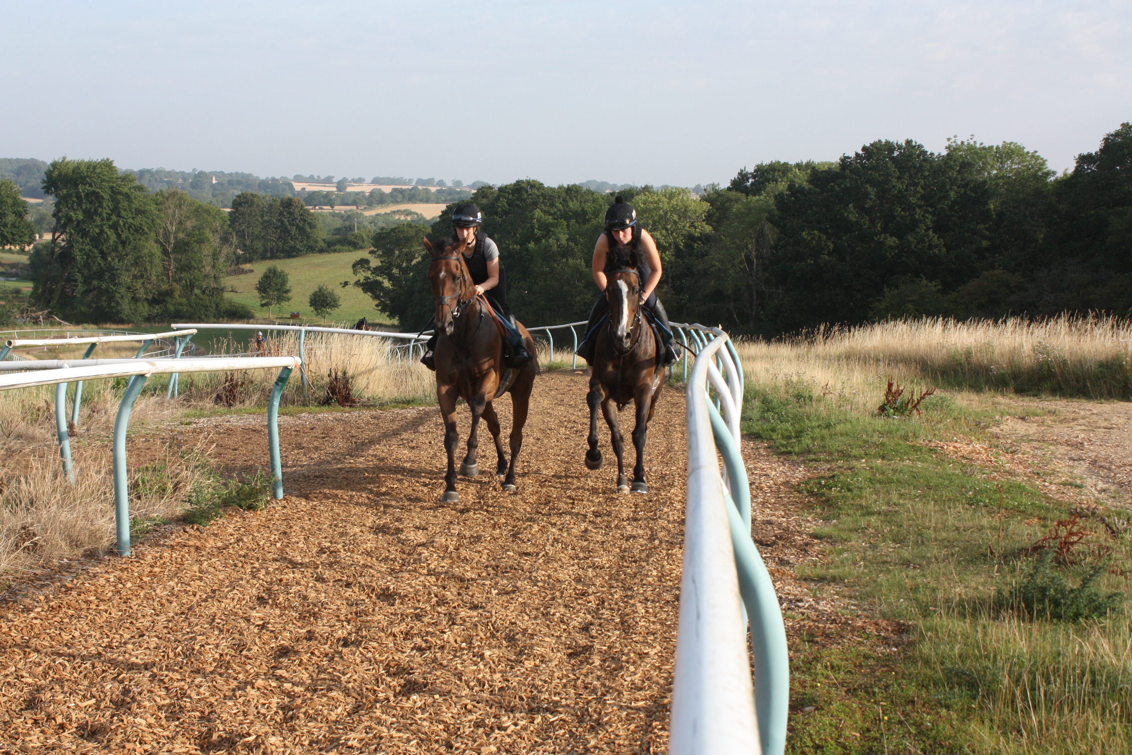 Soldat Forte and Stroll on By getting ready to run