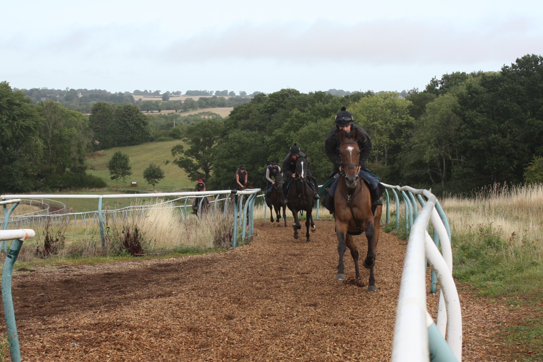 Alien Storm leading the string up the gallops