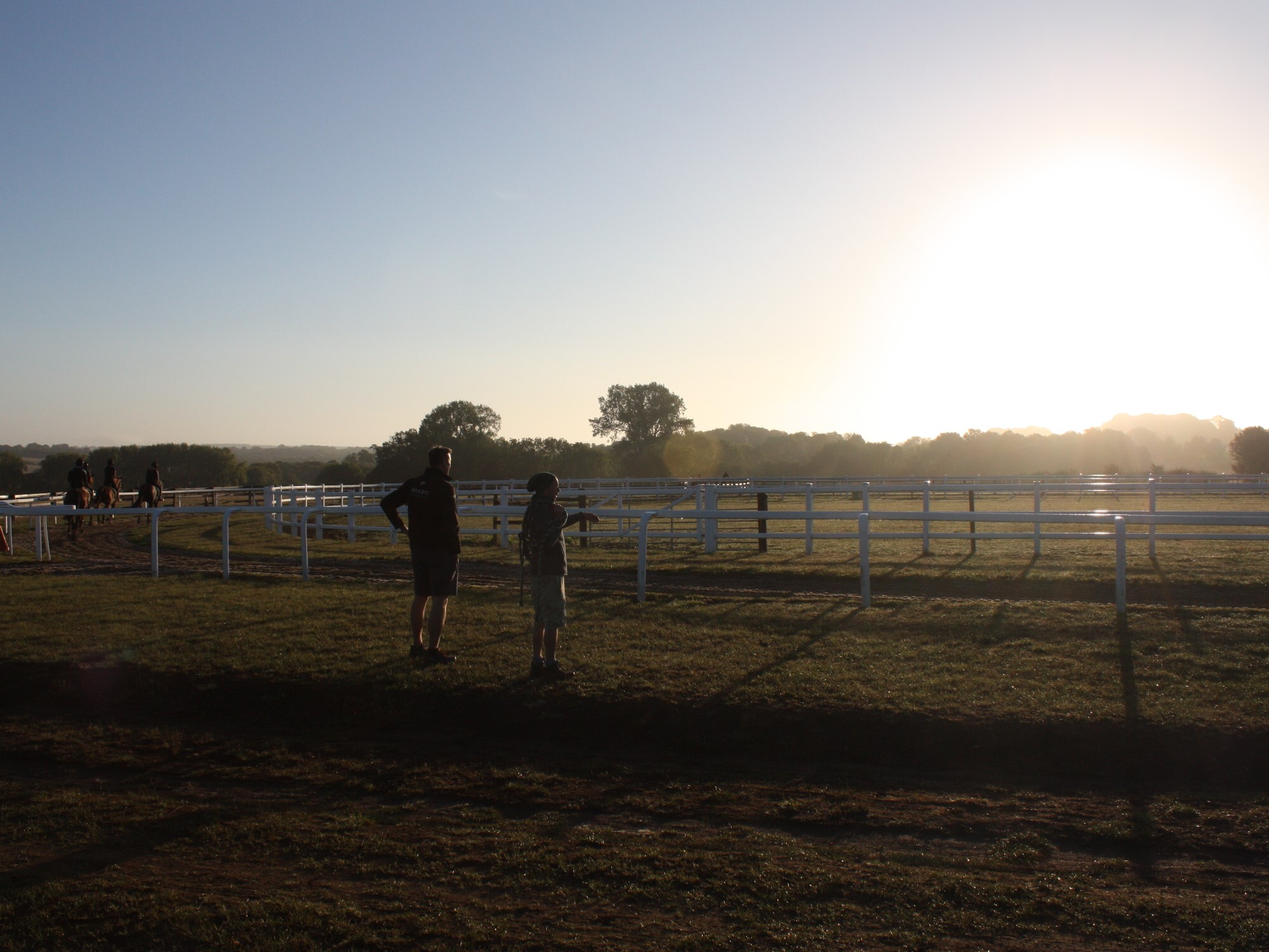 Horses In Training Brochures 2025/26