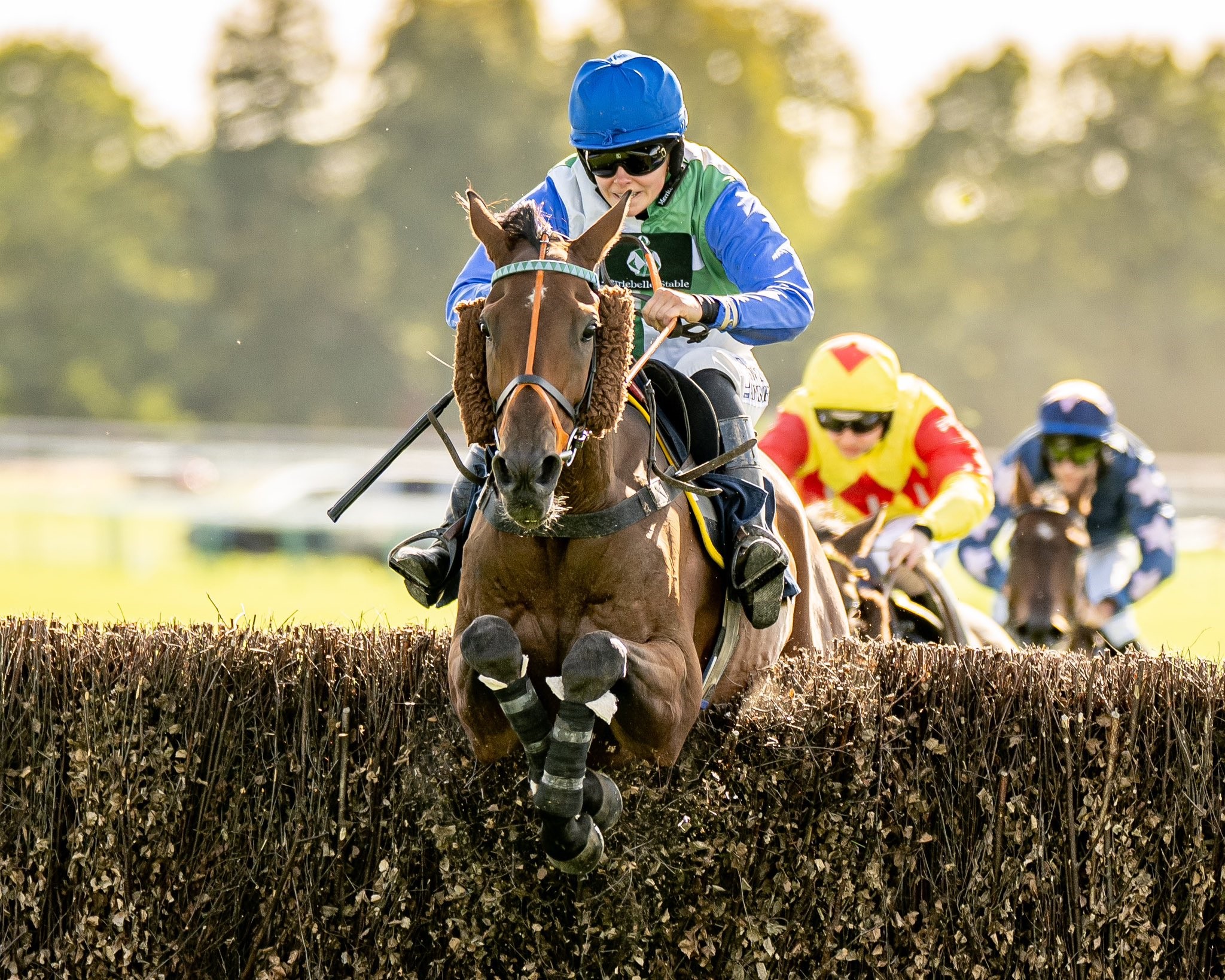 Midnight Jewel over the last at Fontwell