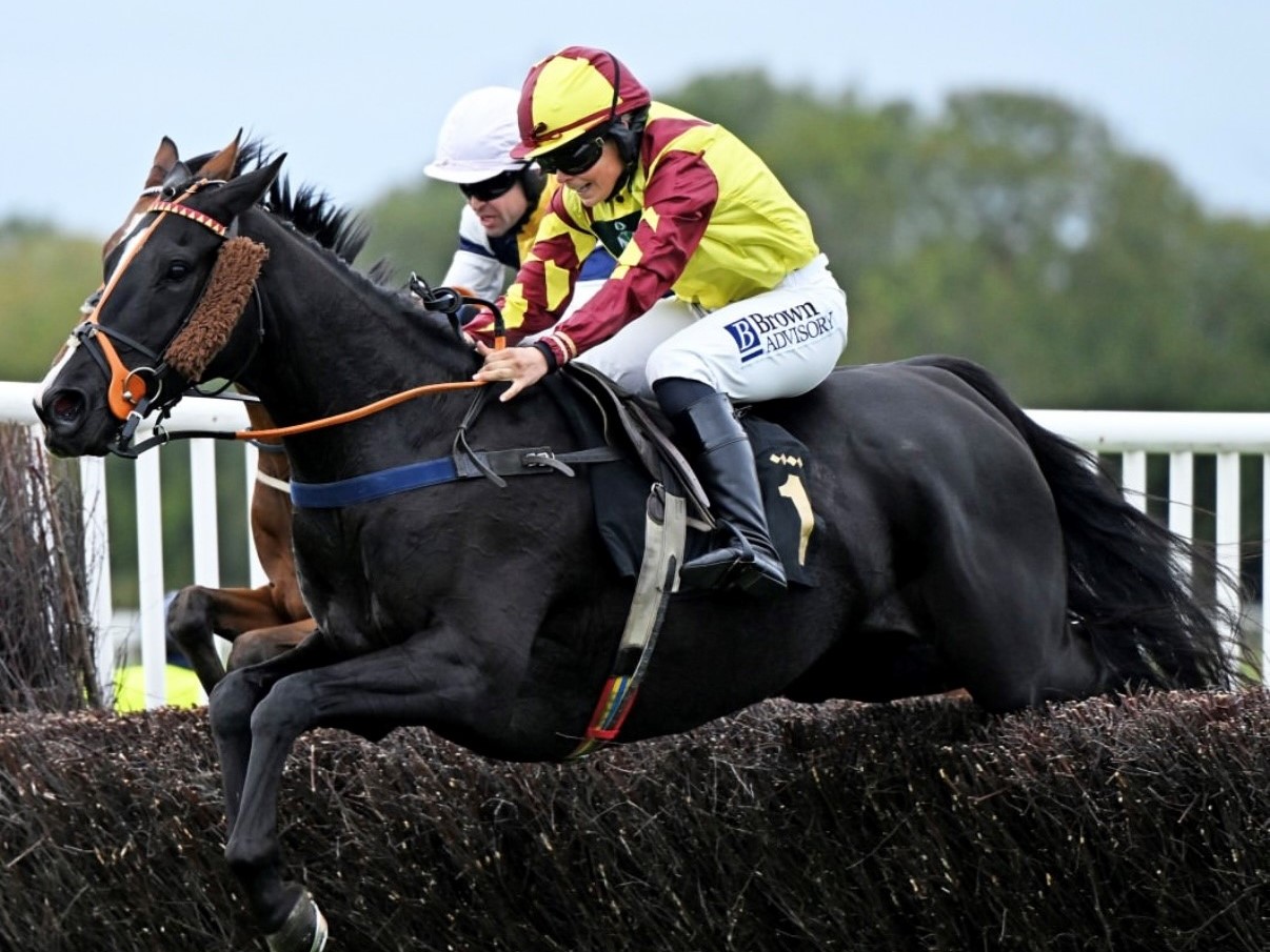 The Dark Edge Winning at Huntingdon