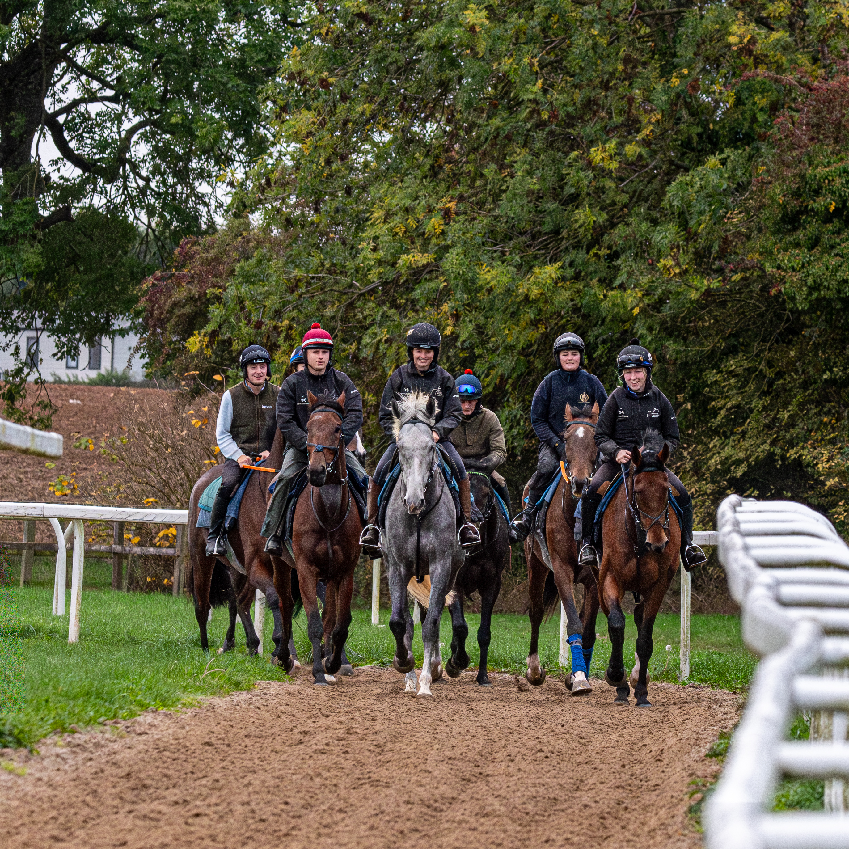 The team at home (photographed by Tom Goffe)