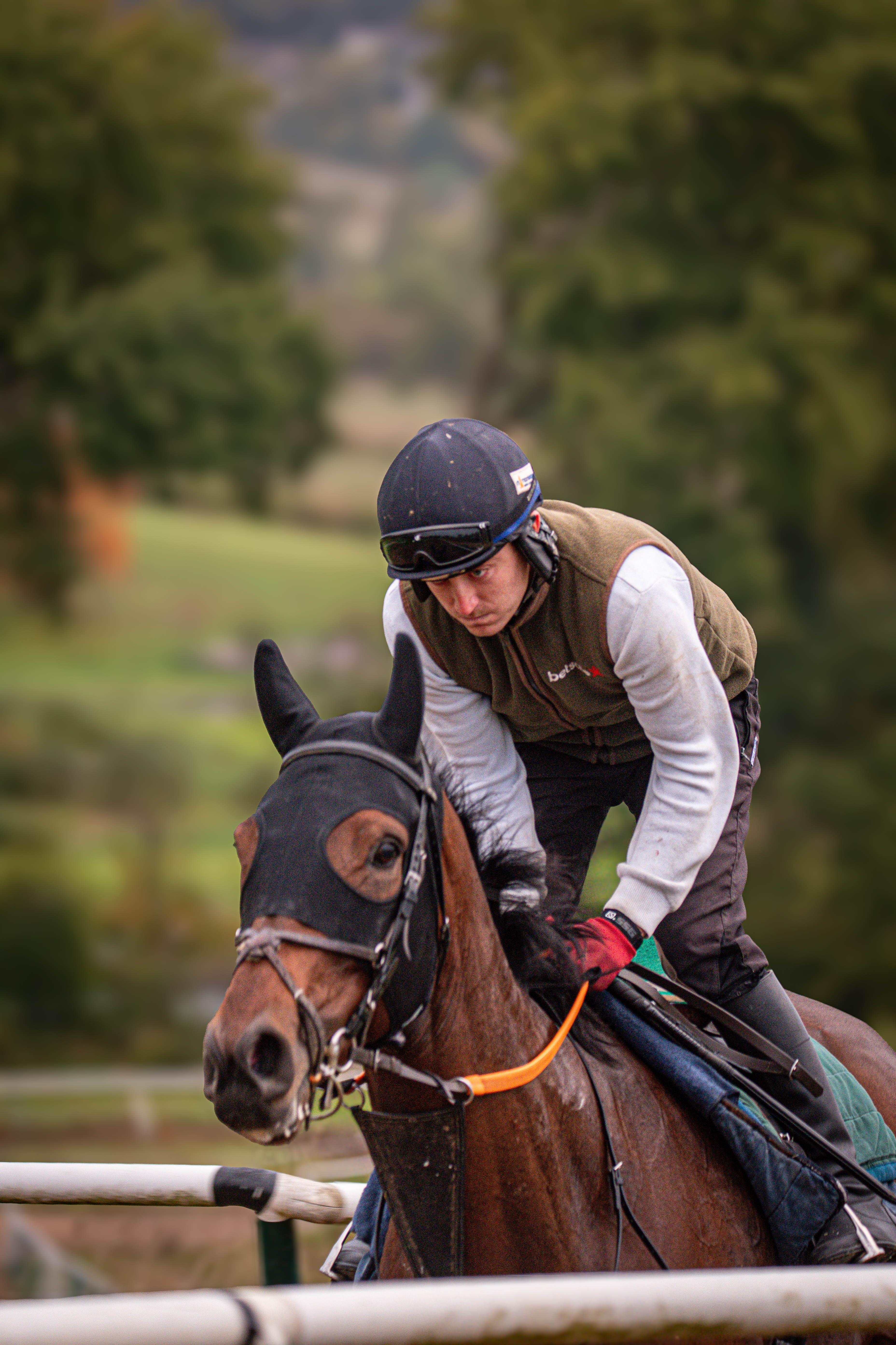 Romany King working at home