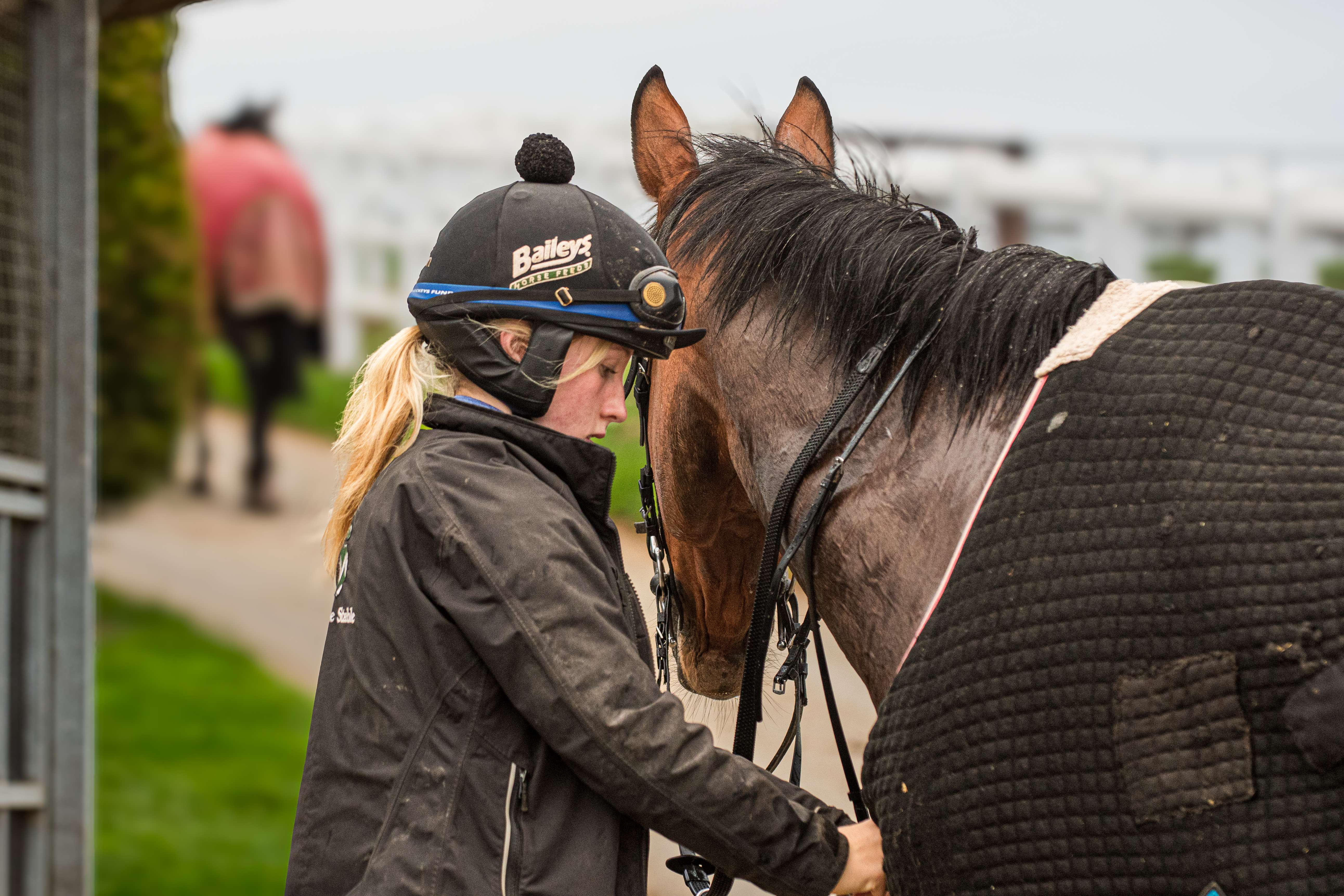 Pictures by Tom Goffe