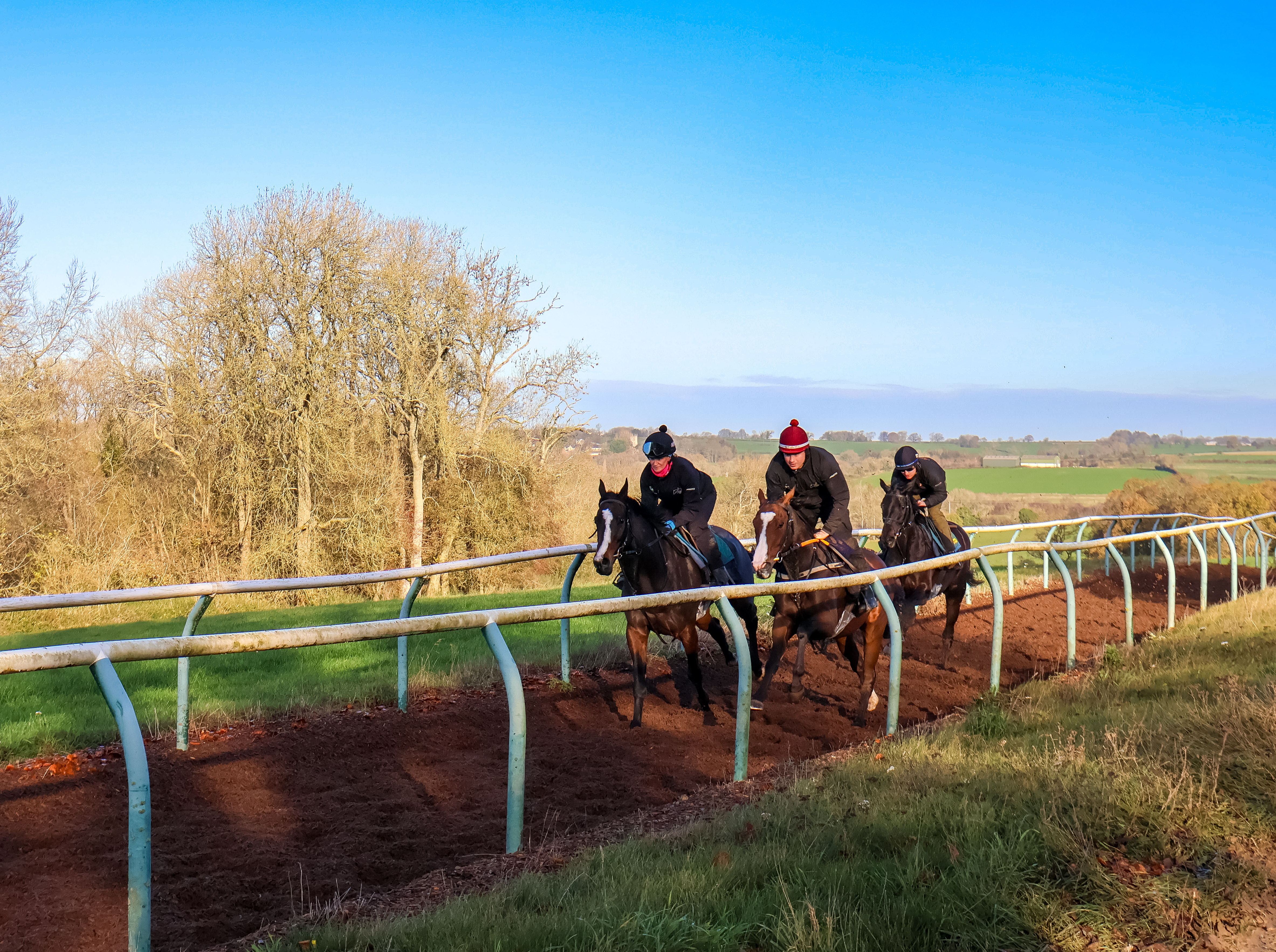 Stroll on By (far side), Donegal (near side) & Pippins Legend (in behind)