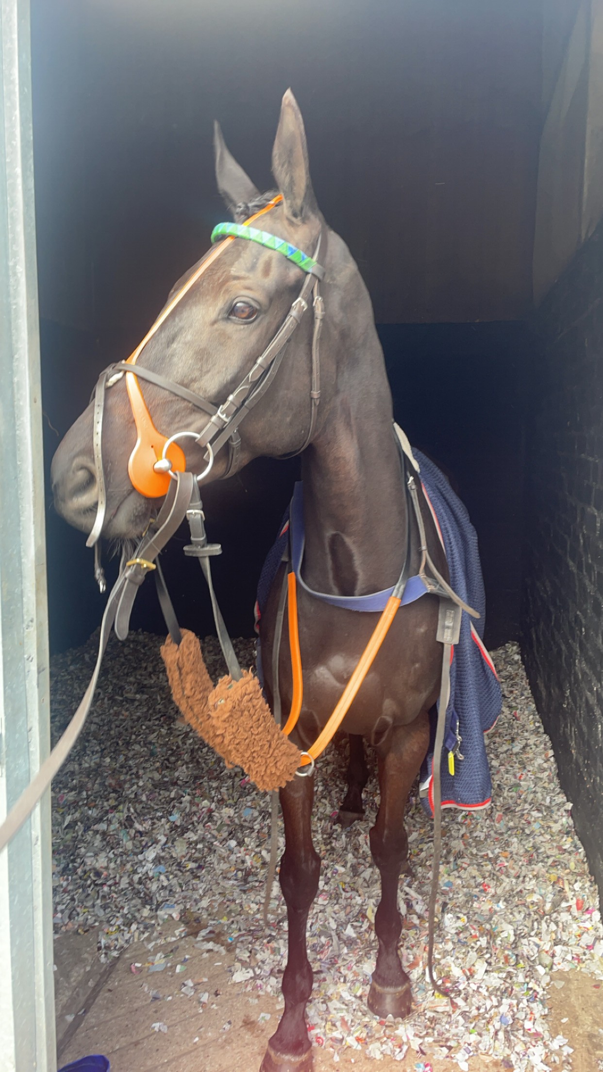 Bowmore, declared for Doncaster on Saturday at 3.17pm