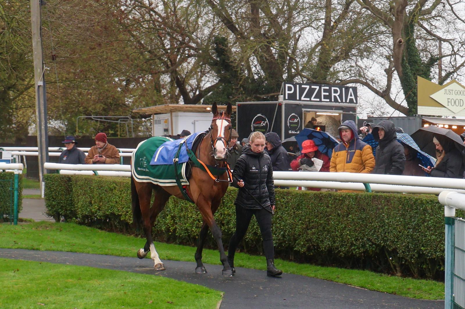 Molto Bene, declared for Doncaster on Saturday at 2.40pm