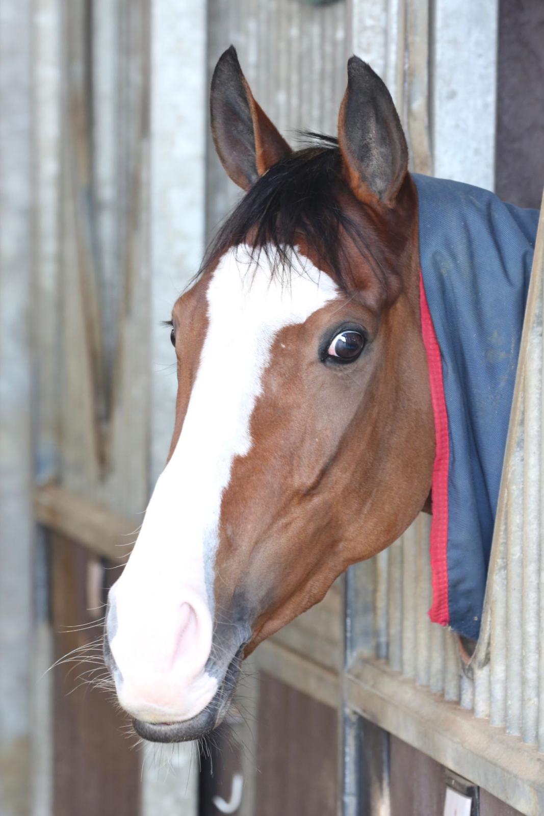 Our Lovely Molto Bene