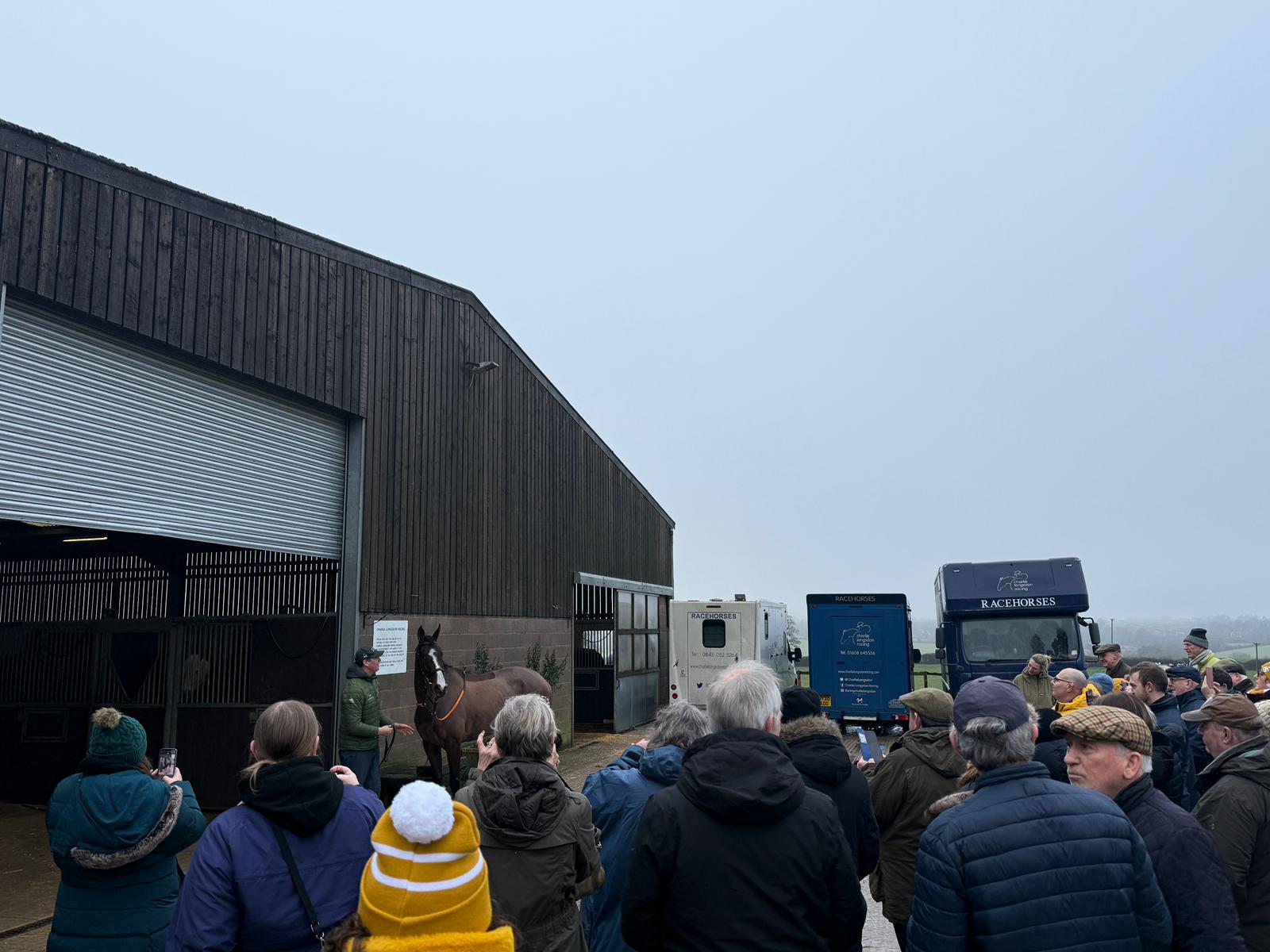 Photos from Old Gold Mornings