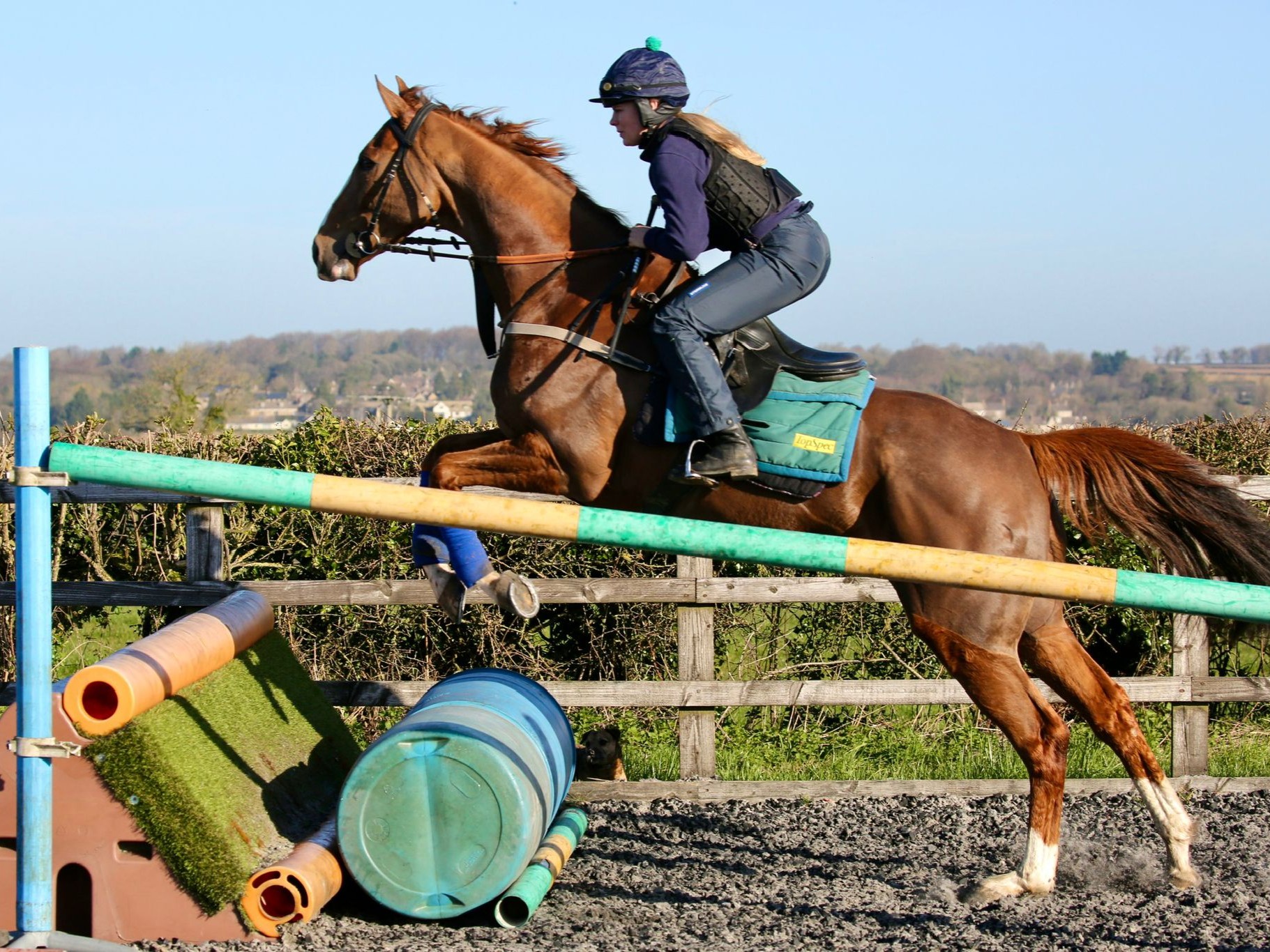 Castle Robin schooling ahead of his run
