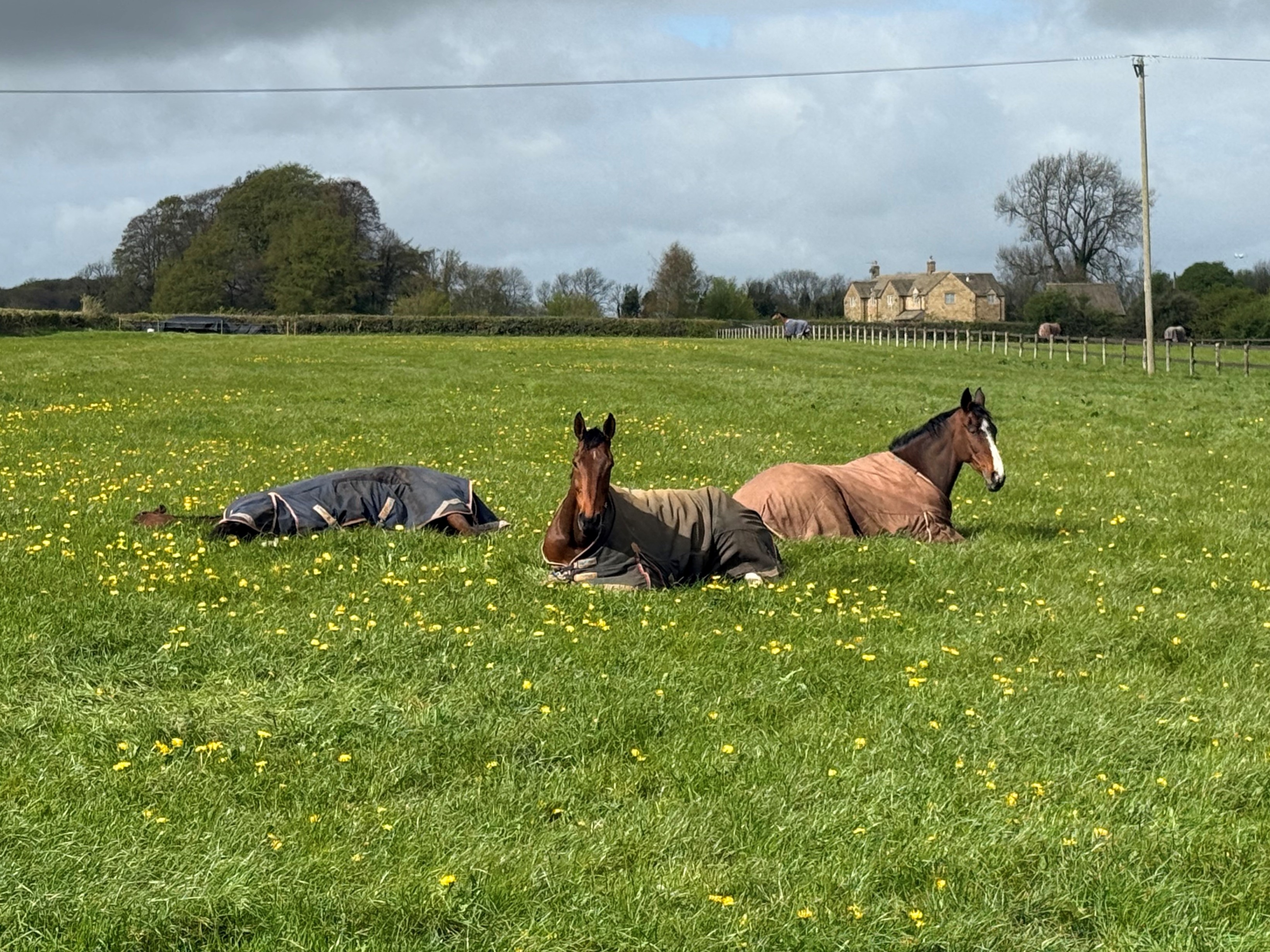 Left to Right - Ocean Master, New Order and Big City Roller.