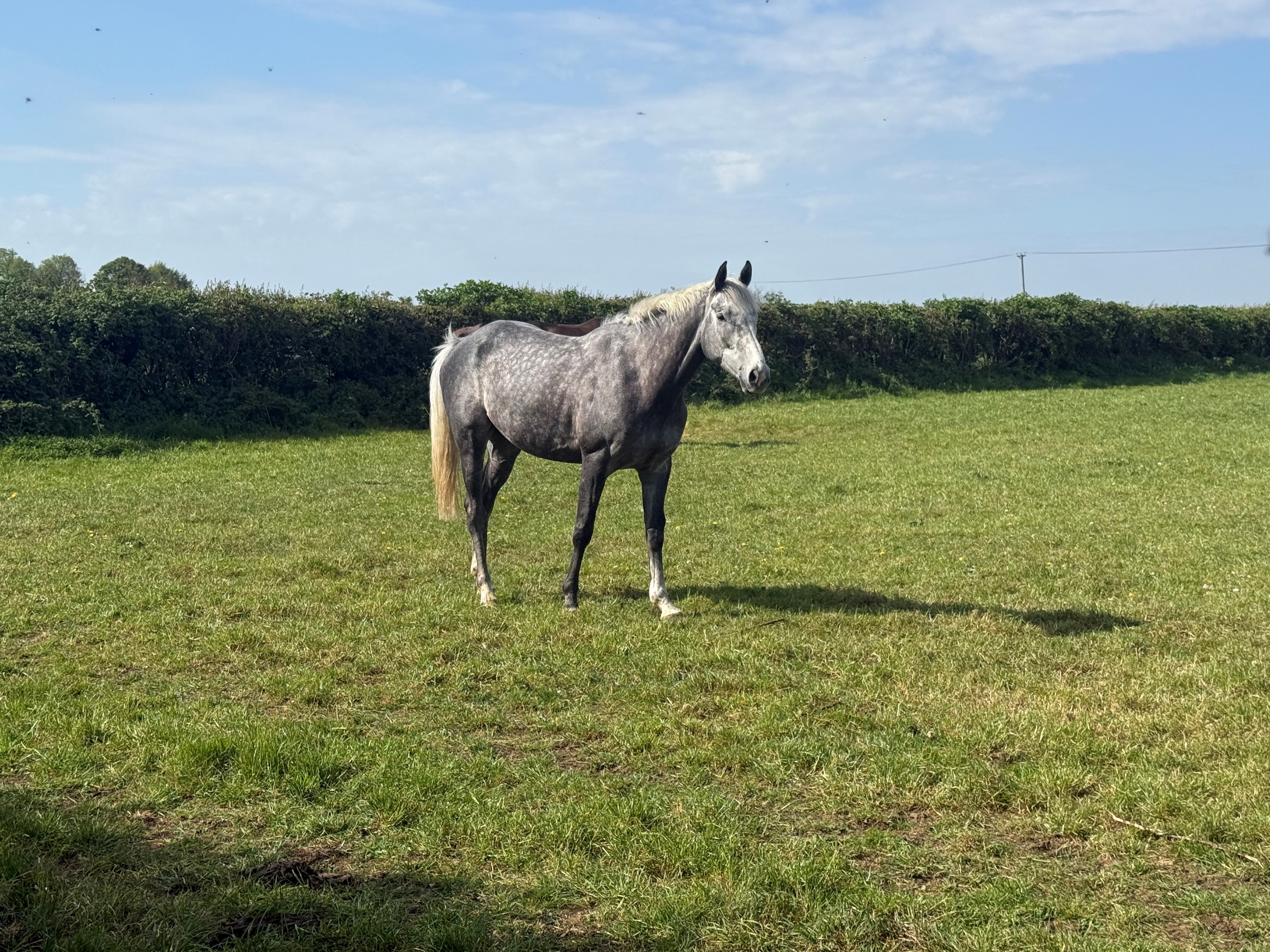 Swindon Village on his holidays
