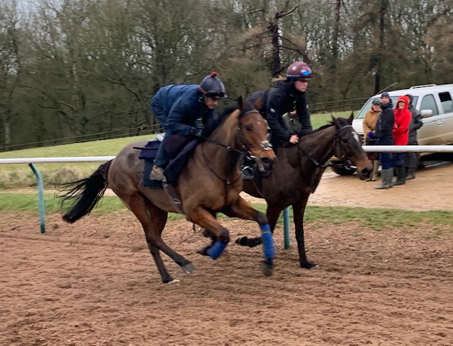 Kapsize with Loose Chips and their very wet owners looking on!!