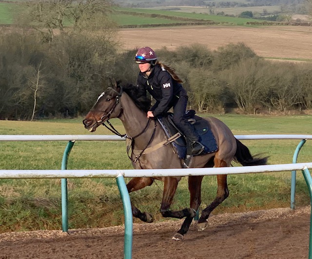 recently on the gallops
