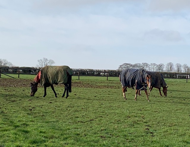 A few lads enjoying the nice day 