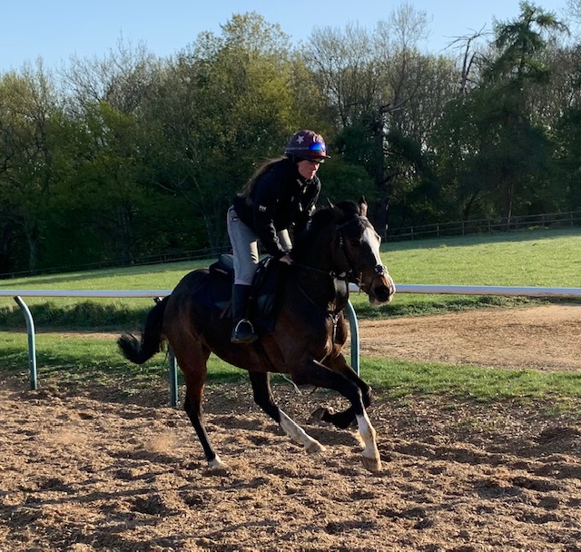 Our new racing club horse Thinque Tank