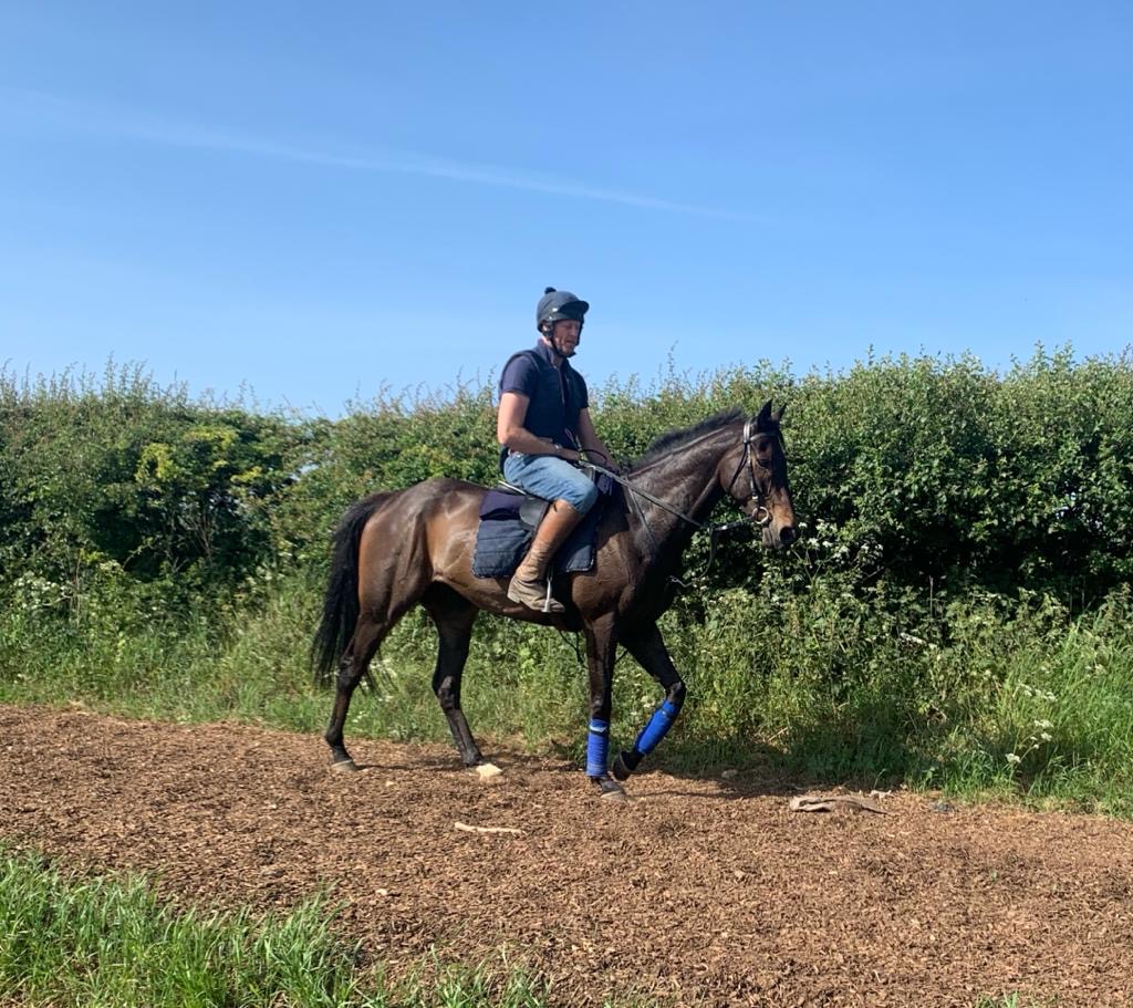 Miller returning from the gallops - with the trainer back in the saddle...