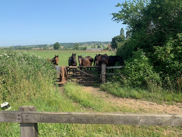 Showing an interest in the schooling session