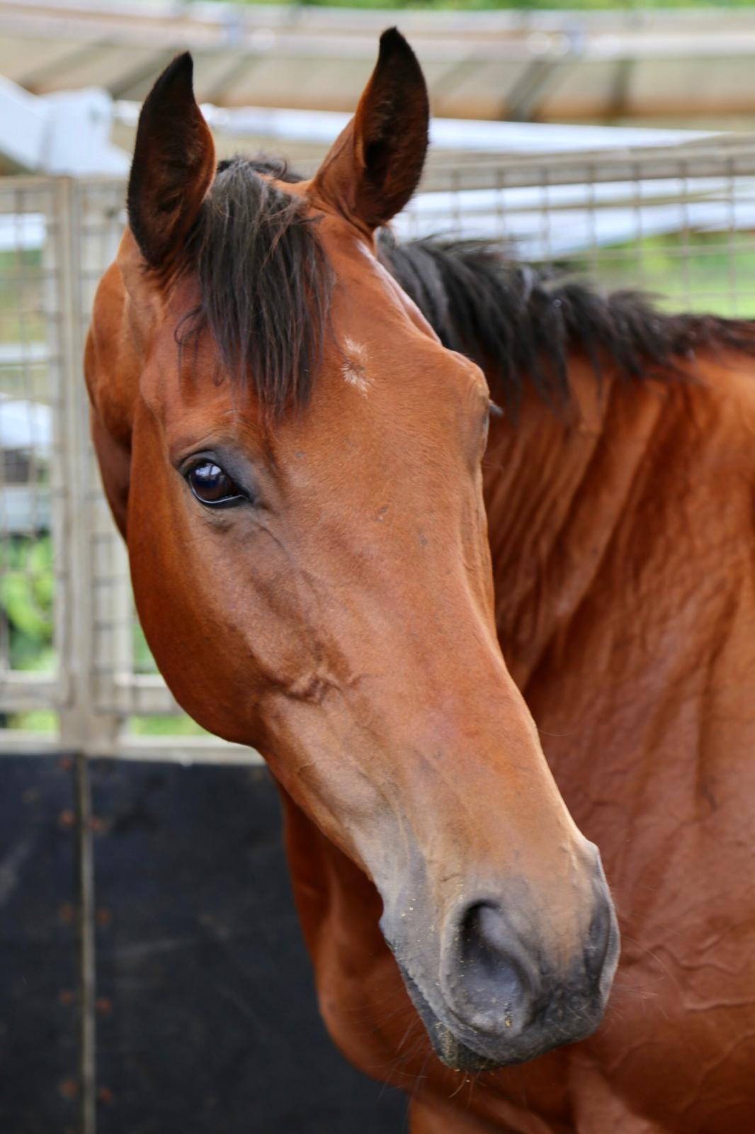 Kapsize after his exercise