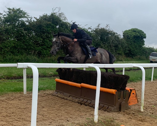 Fanfaronade jumping a fence 