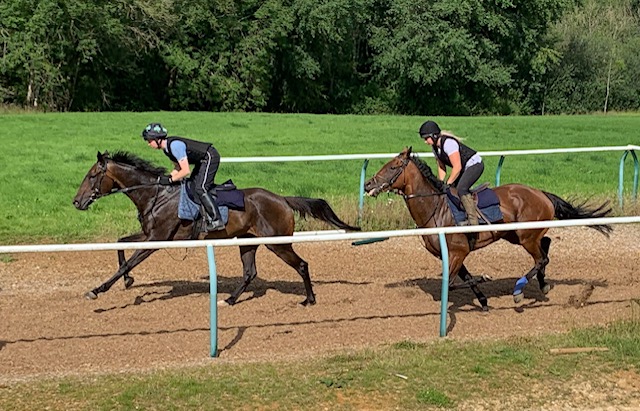 What about time and Cardigan Bay on the gallops