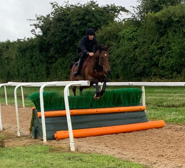 Train Hill schooling earlier in the week in preparation for his bumper!!