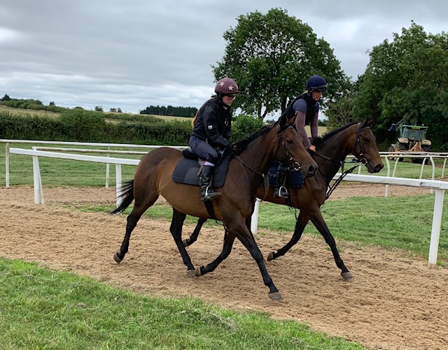 Some of the horses doing their trotting work on the round gallop