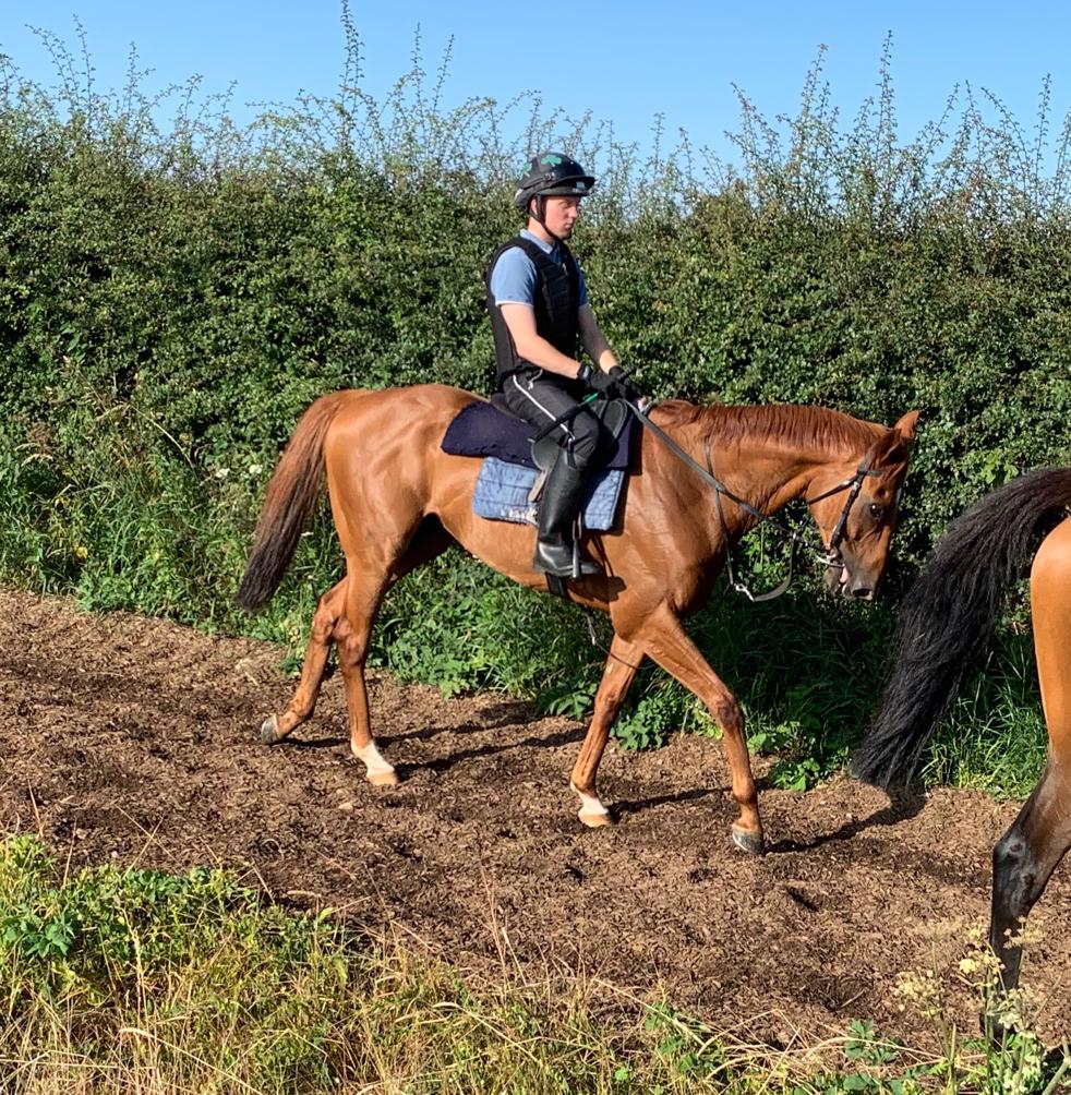 Jamacho walking back from morning exercise