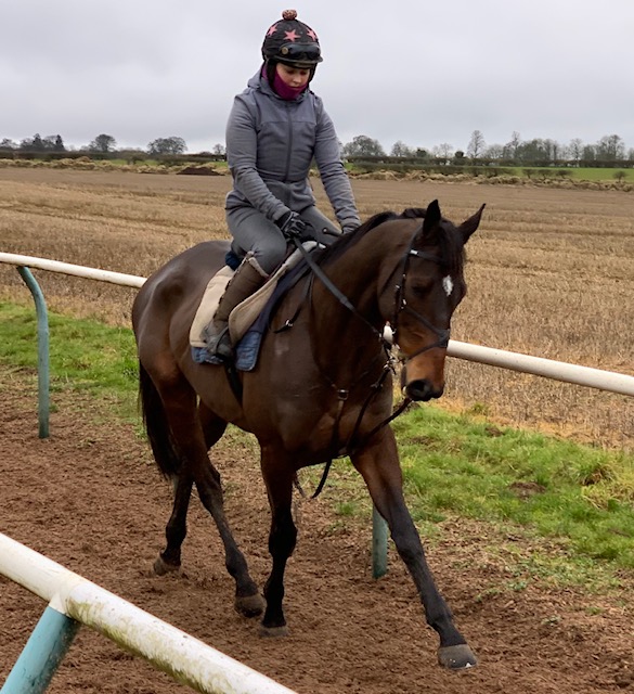 At home on the gallops