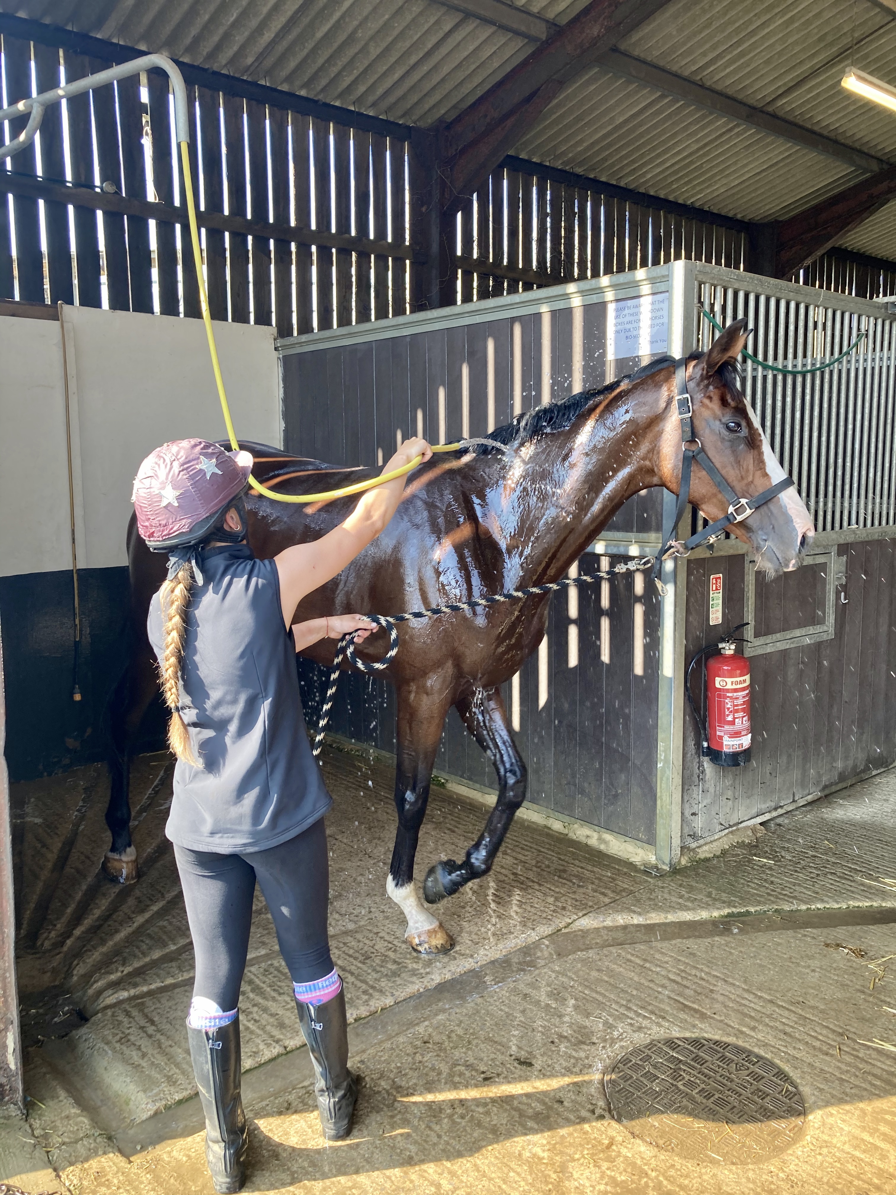 Old Jeroboam enjoying a wash down!